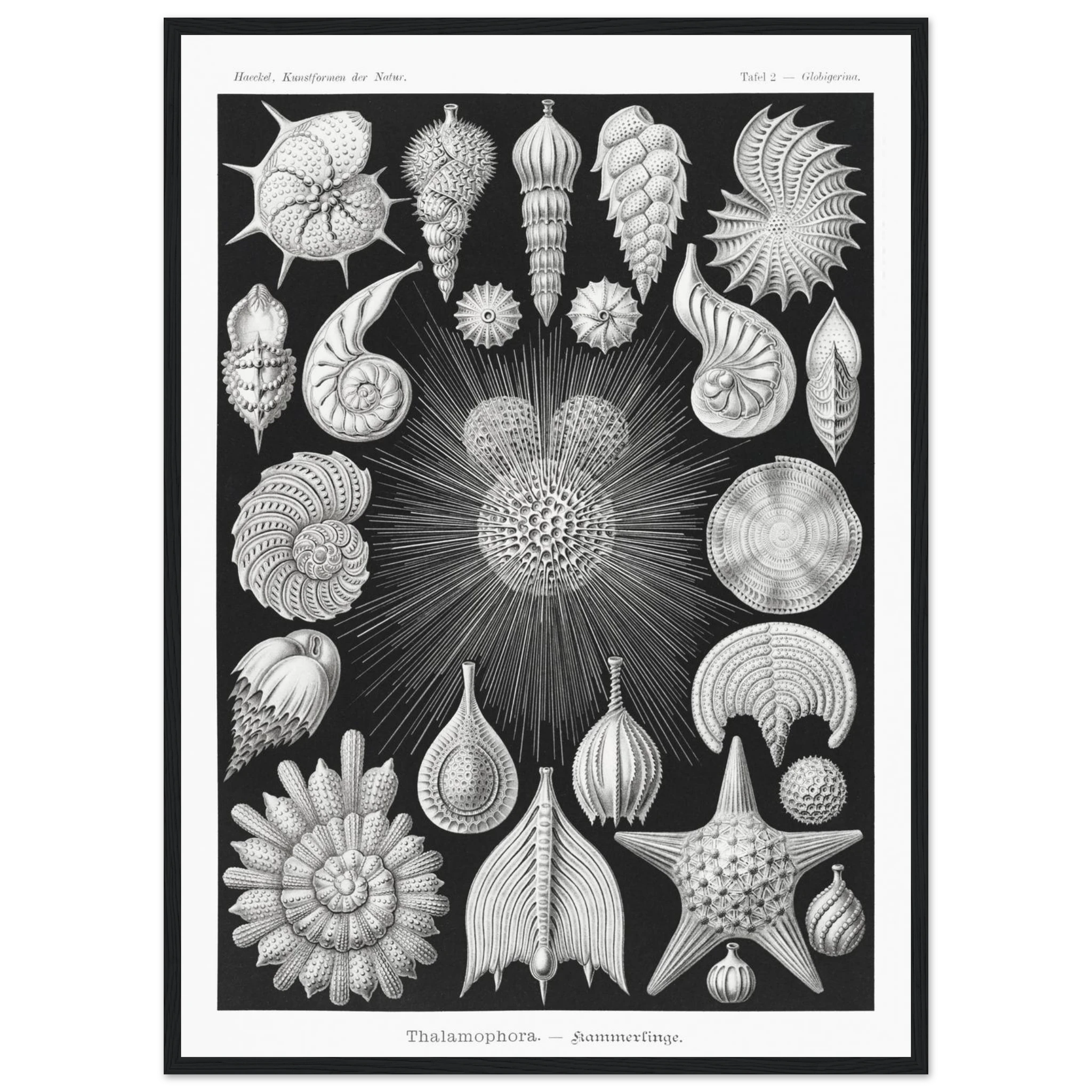 bd56f07b-3303-4894-b72c-3aecf60bfa7f