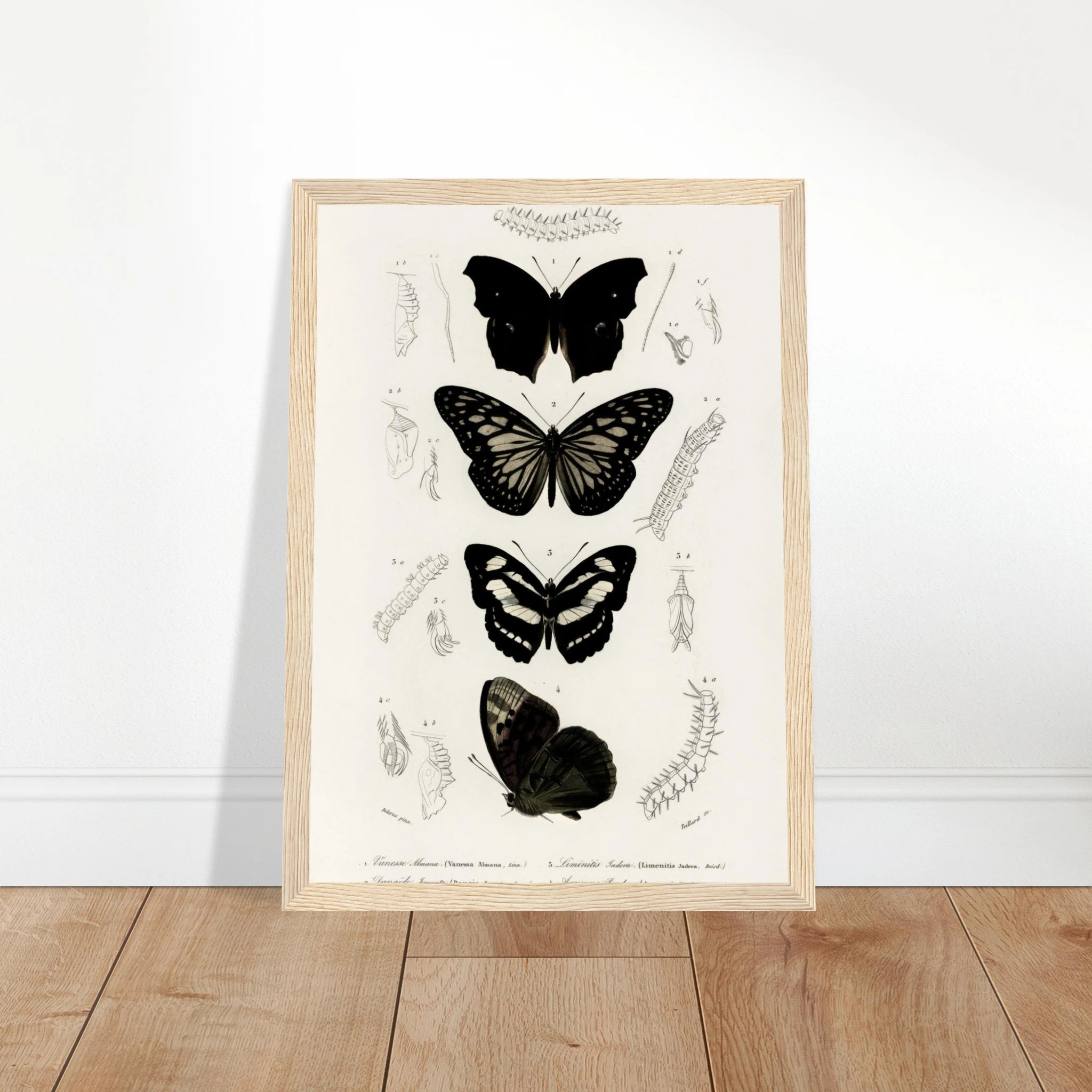 bd9403b2-47ab-41f9-aeca-668631975ebf