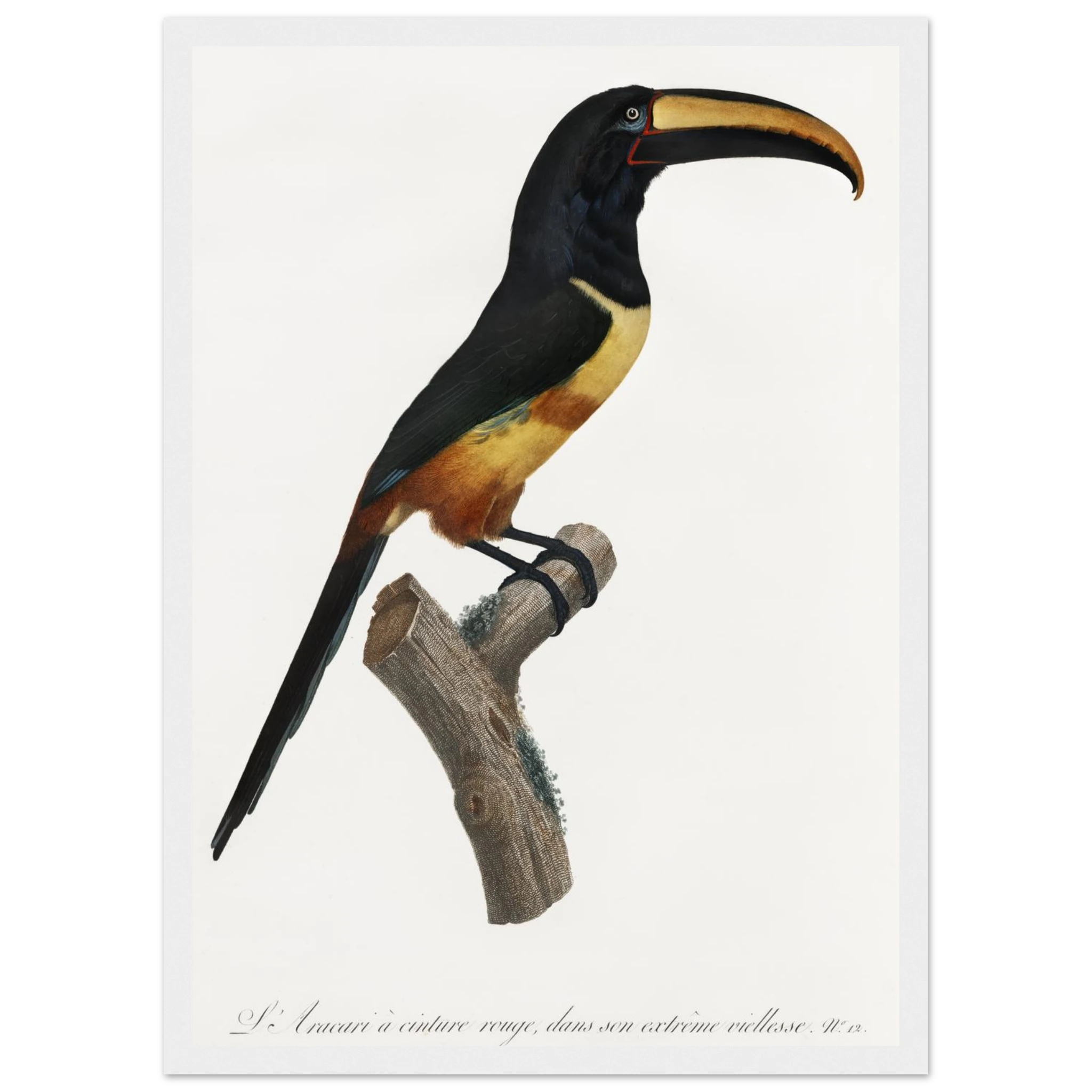 bdd3f9ec-cf93-4006-8c5c-82533fa5e222