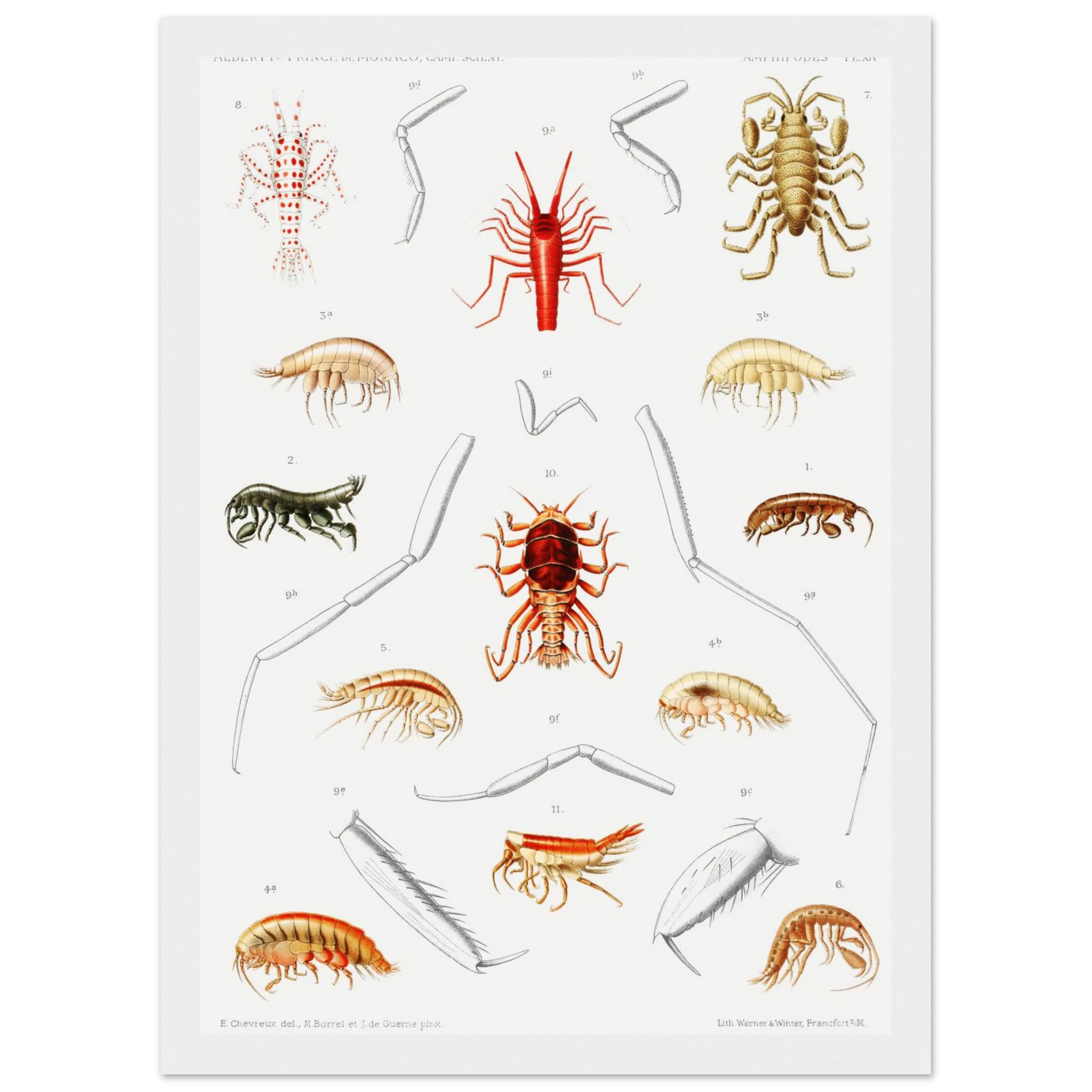 bdf38e8e-7a6f-493a-8d92-70d0a0fd9c97