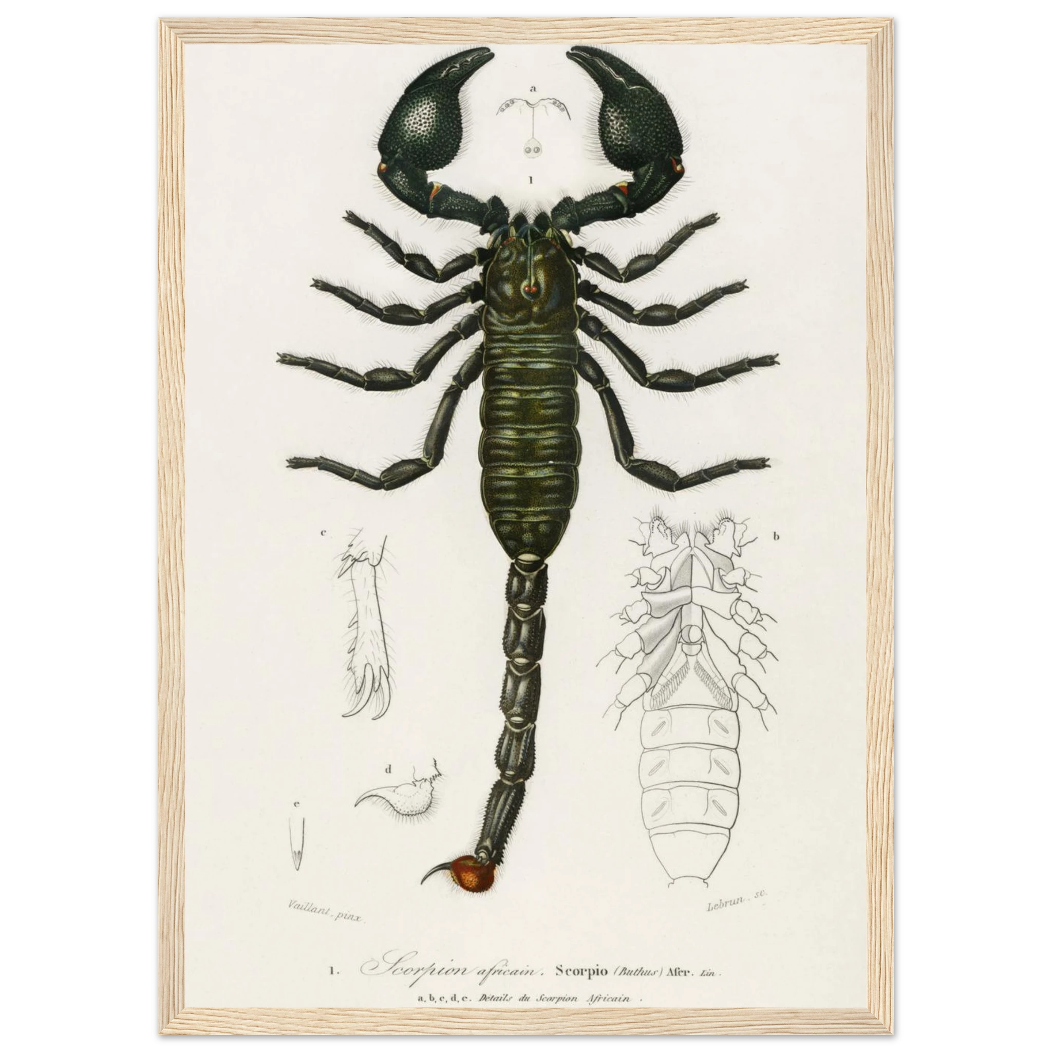 be4ef62a-be4f-4dbb-ae06-03eb73c032dc