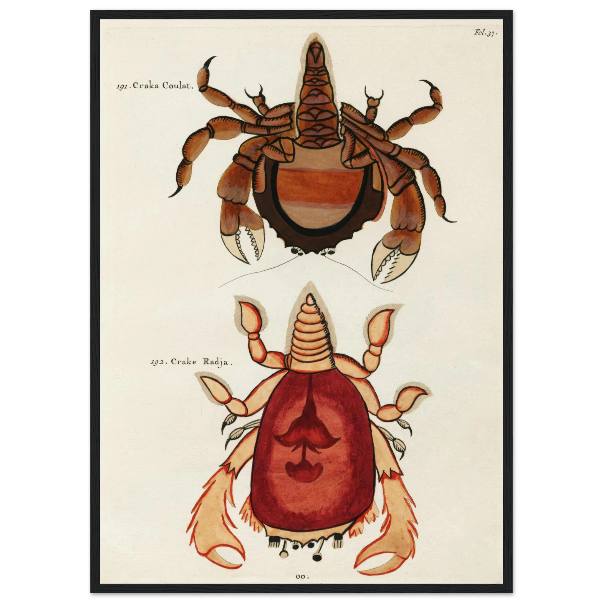 be9336bd-f5dc-4004-a5fd-b0fe52d9752a