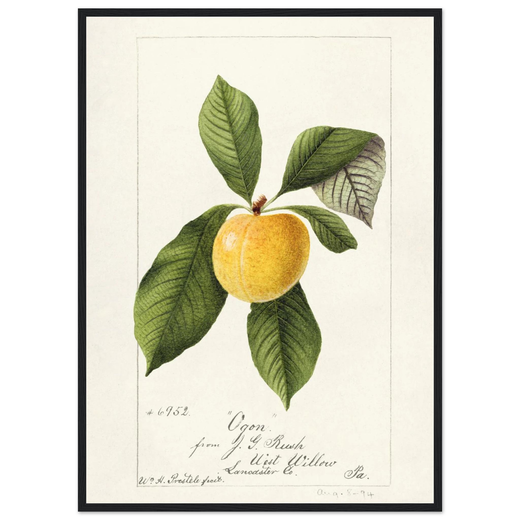 bed0b7bd-7045-4724-a9fe-ad8d90a15410