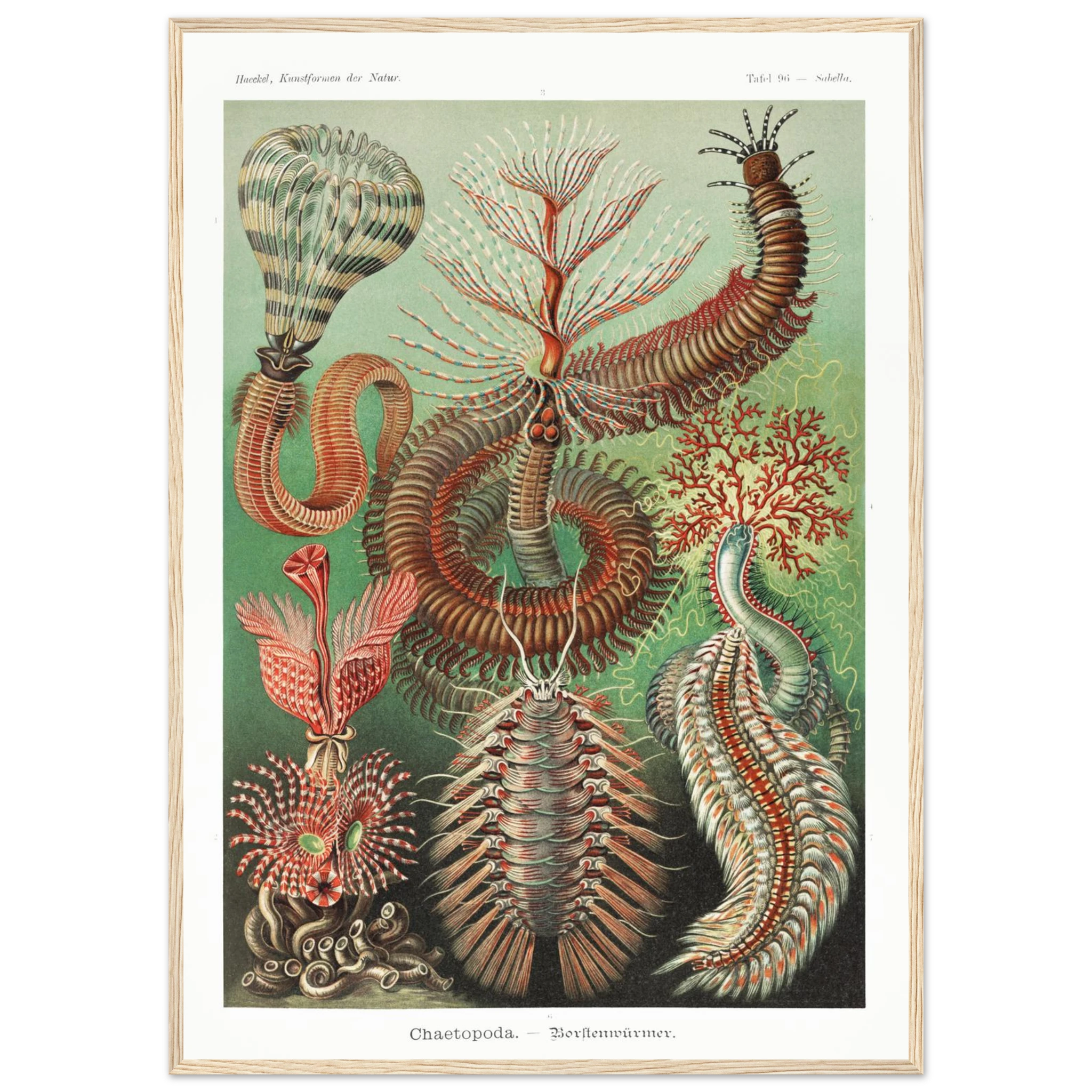 bfa5953e-5610-49b2-920c-d84f7768b245