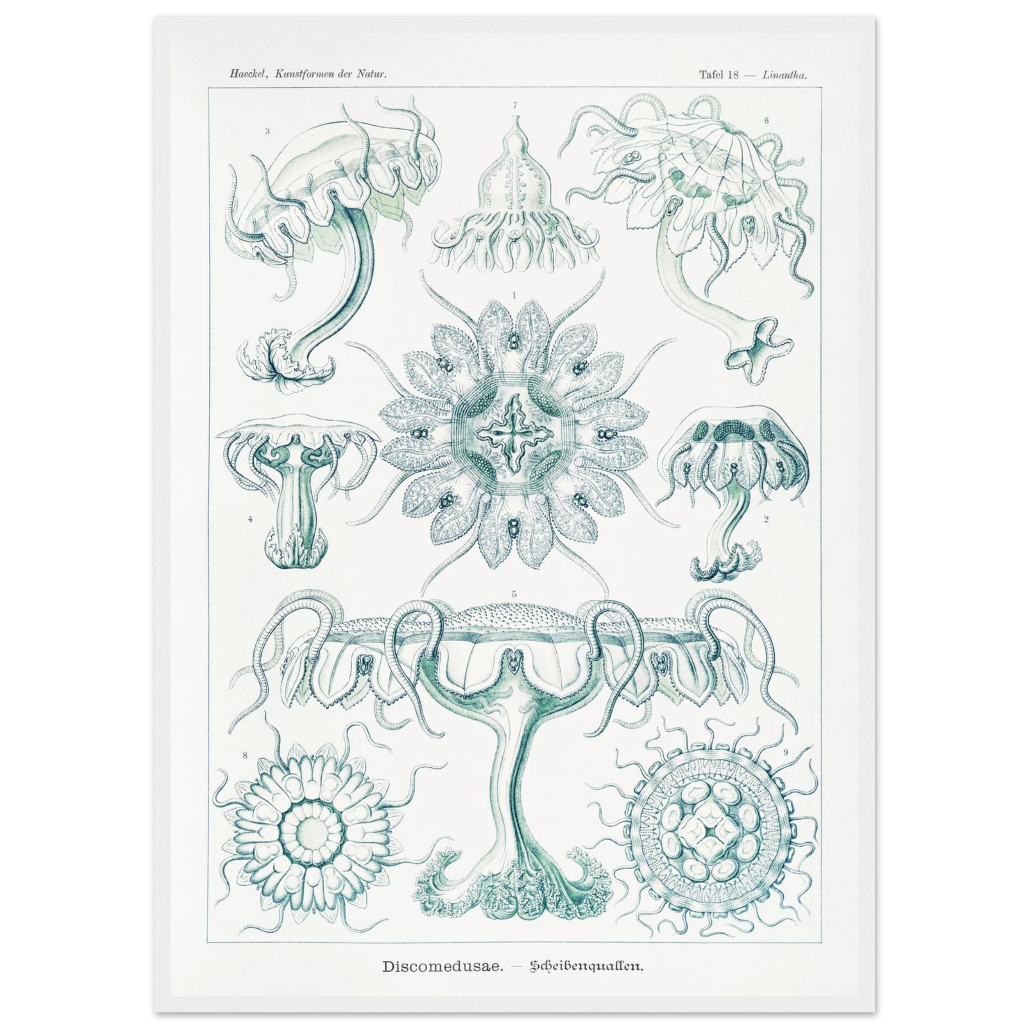 bfb44844-a50c-4e23-8860-0c2b1b55d5bb