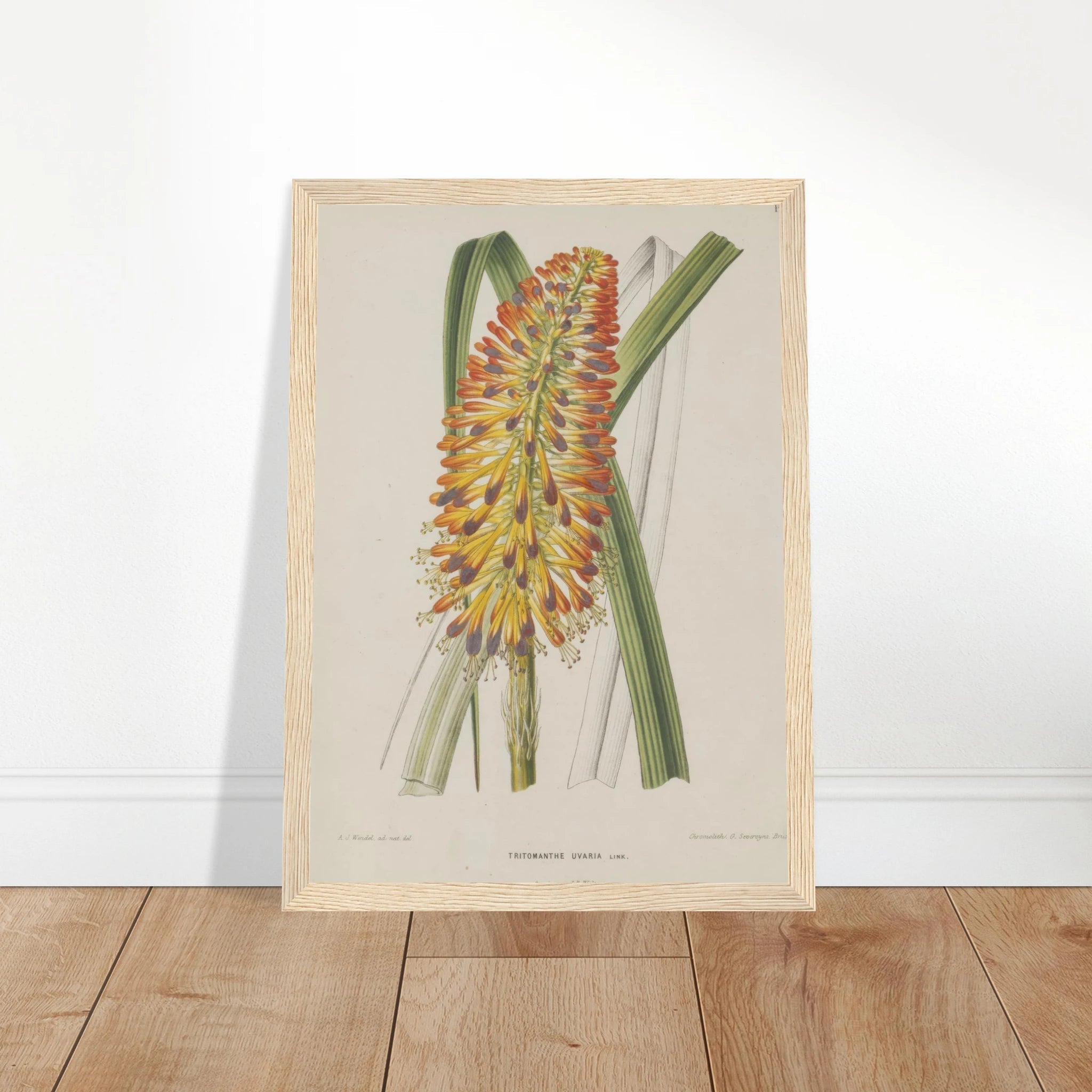 c060e039-2a49-4f08-bb8c-329fbf073a78