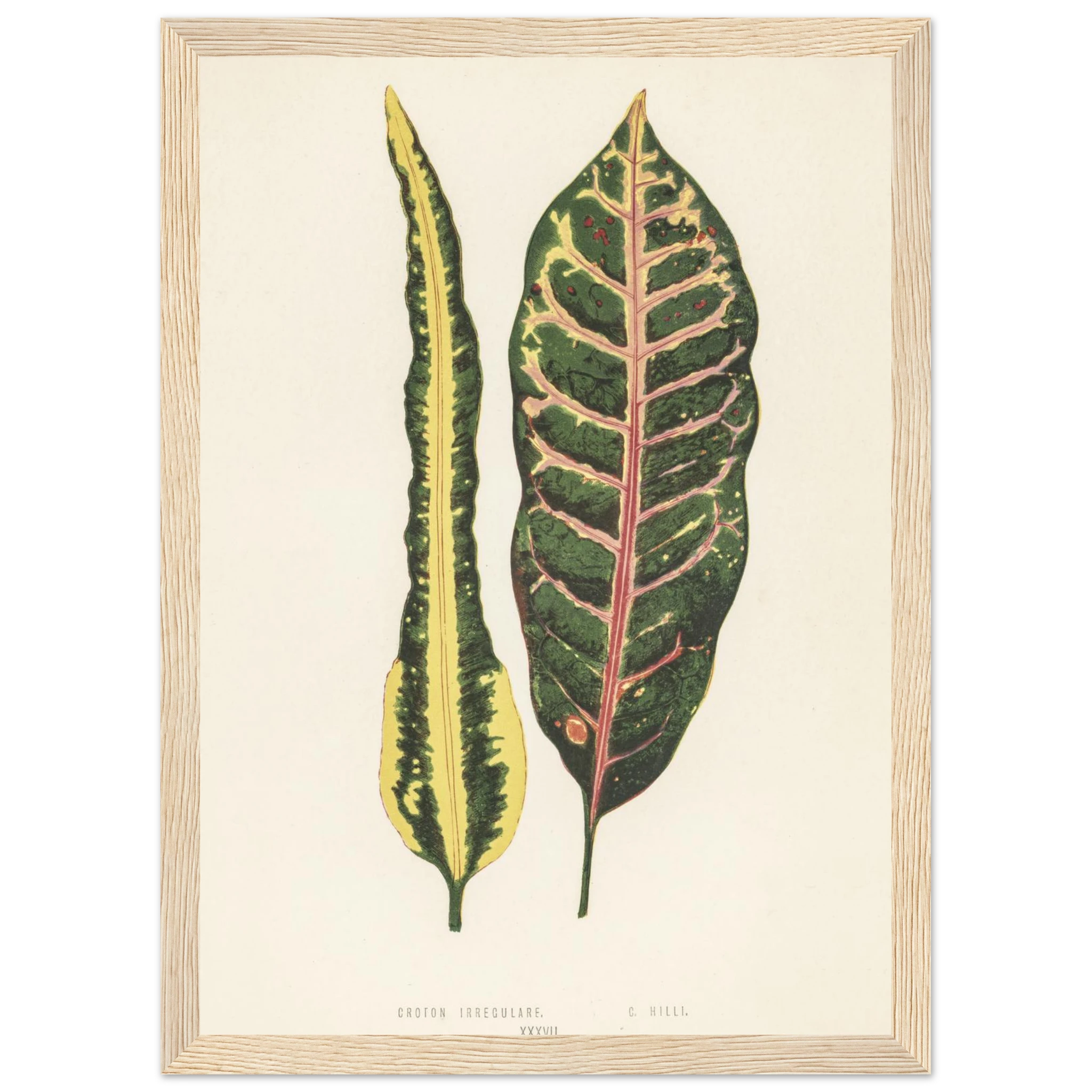 c0800940-323d-49b1-8270-5c98c0de7513