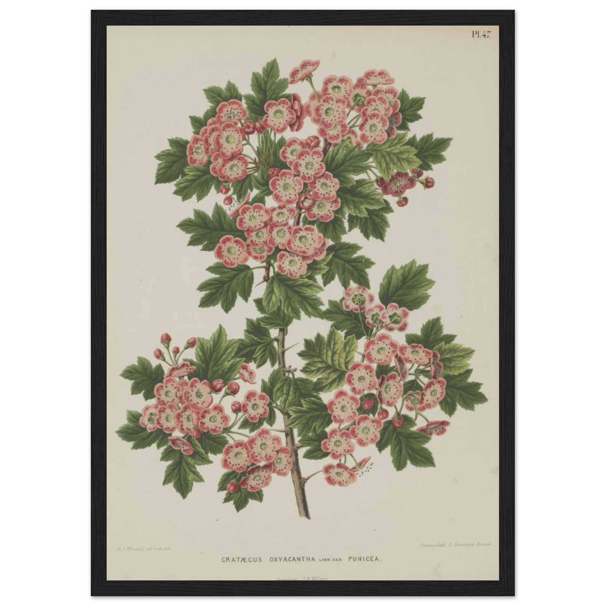 c089a726-7304-46f4-8b25-46f6a6043752