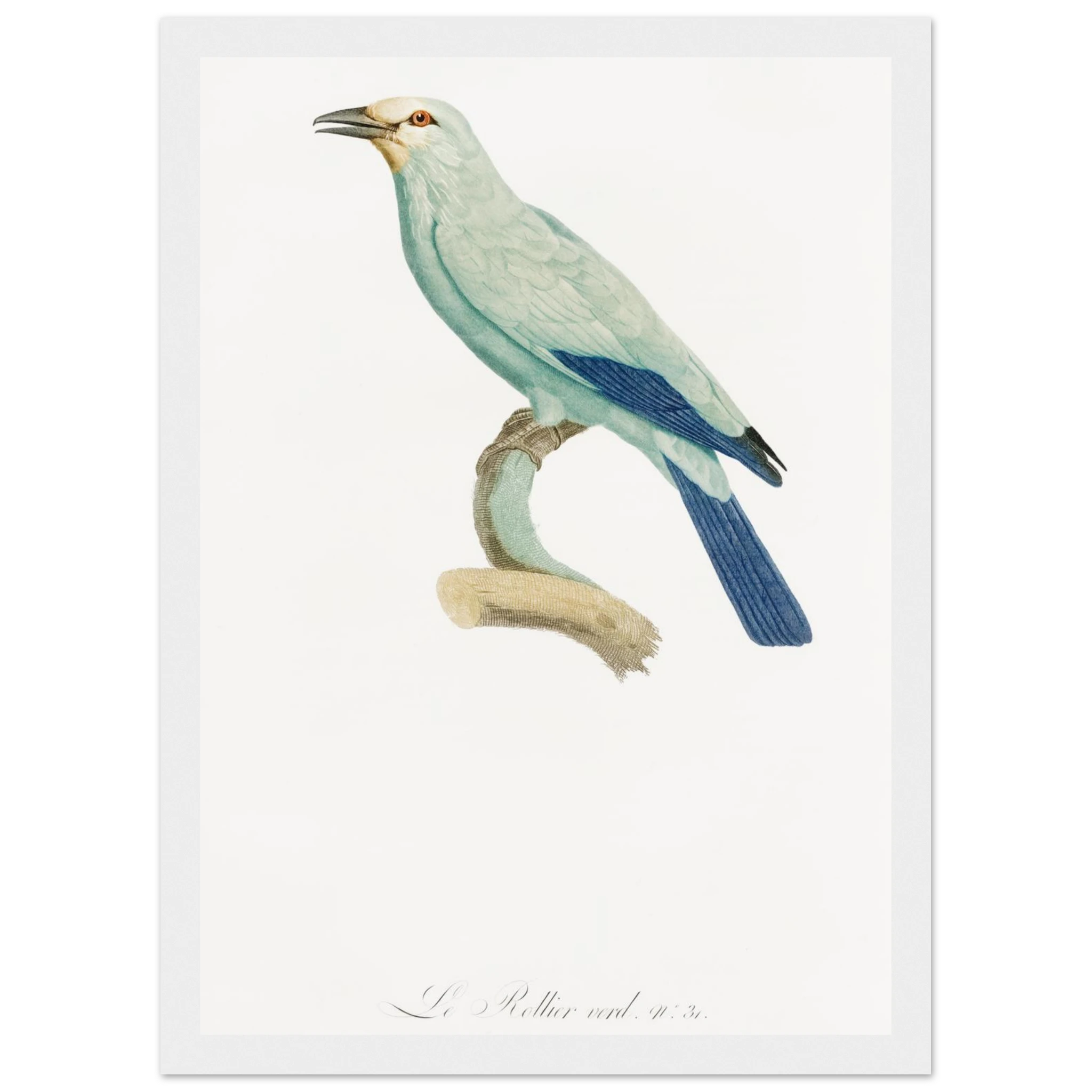 c0aee2e1-e608-4084-b245-516e2c5d1079