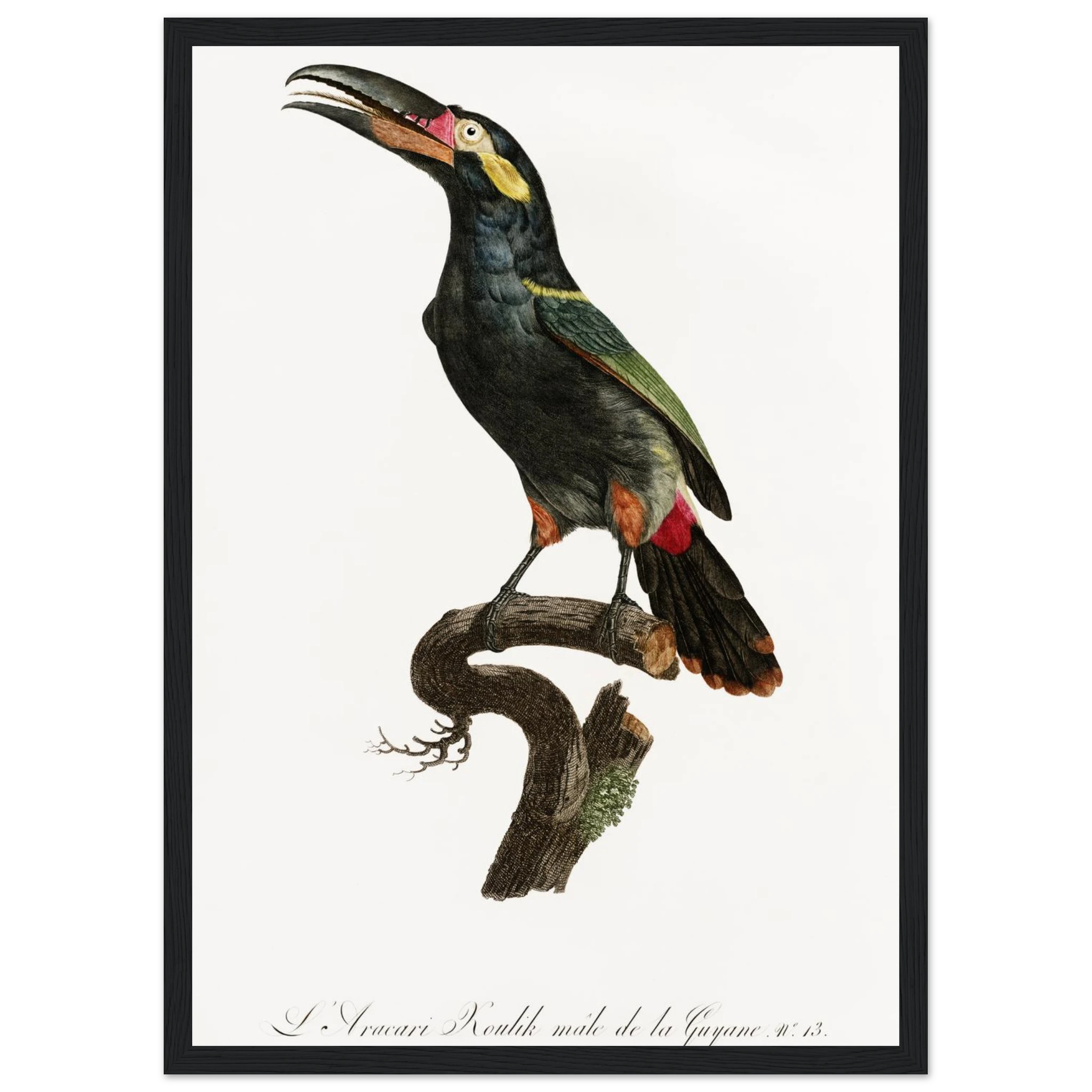 c0d2e4f9-cf76-4ad3-b399-28f3bbcaf2bd