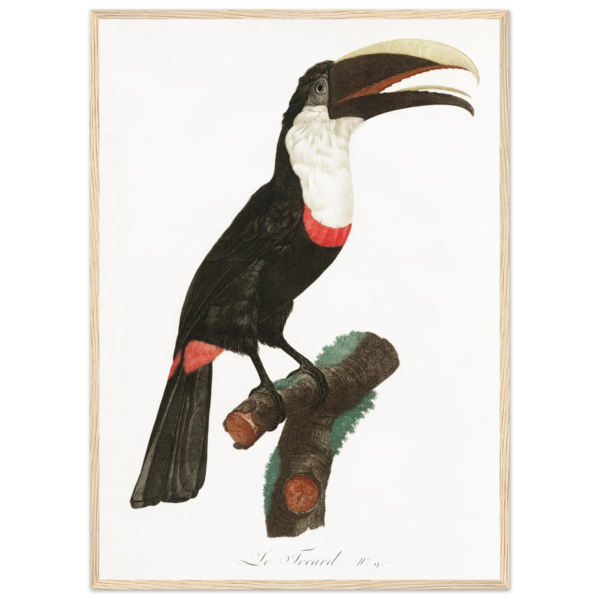 c101dde9-5e76-4987-9092-1f9f29fe1832