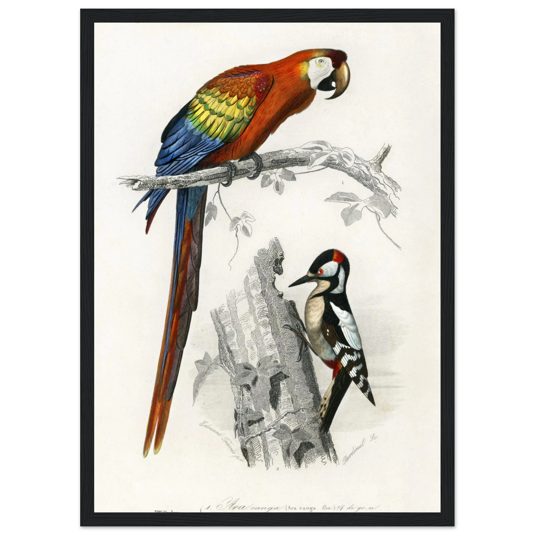 c10d98f5-8837-461a-be8f-ea88ddcc11b2