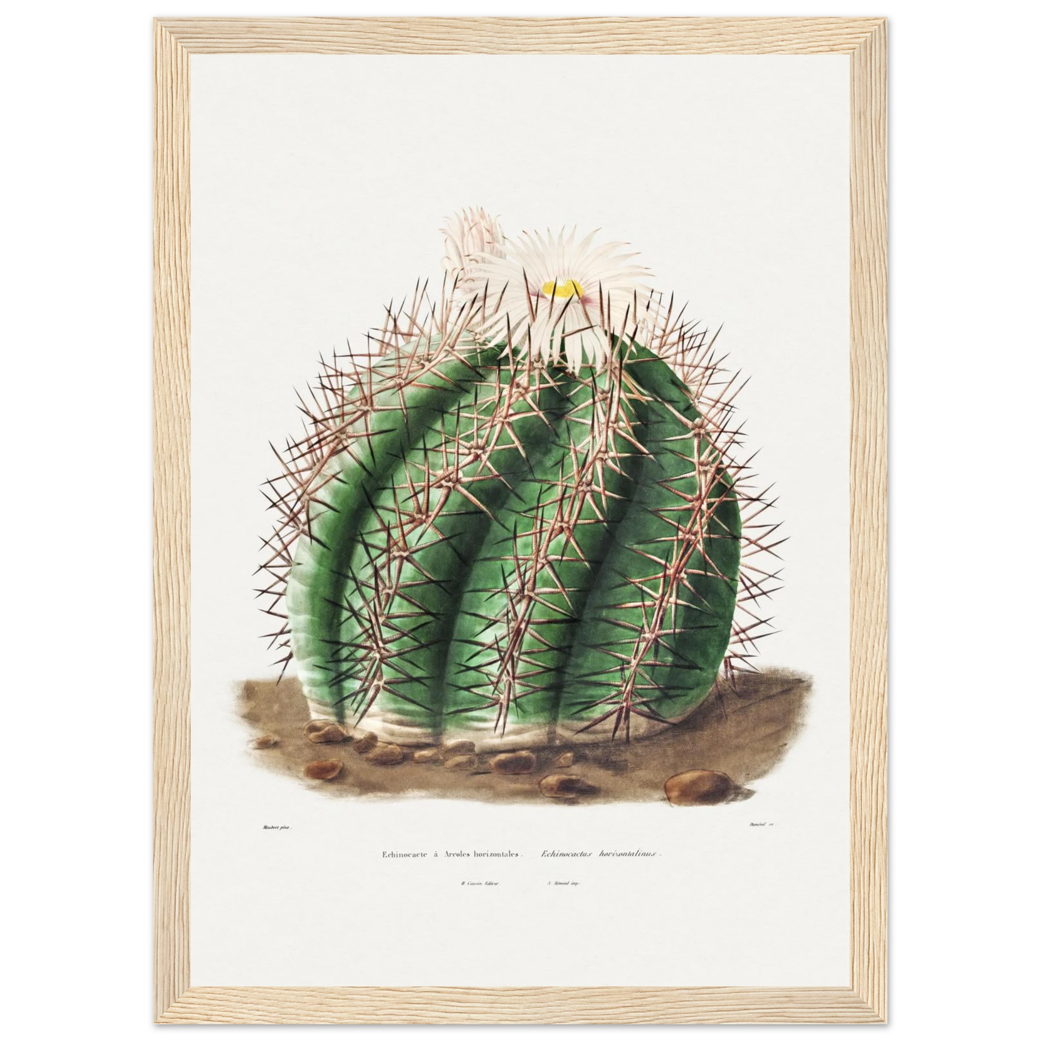 c119eb14-574e-4584-bf91-3950ccf90923