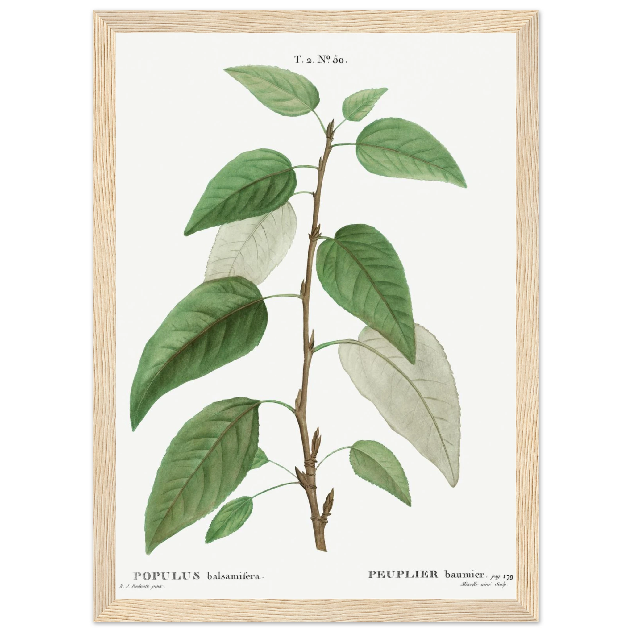 c12a8b29-8aec-43bc-b202-40db8c30a8e2