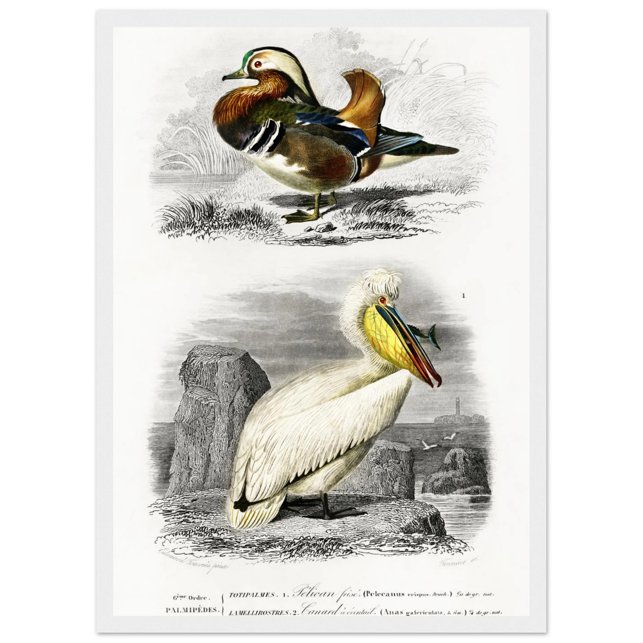 c135be10-acb6-446c-b4b1-286ef885eca3