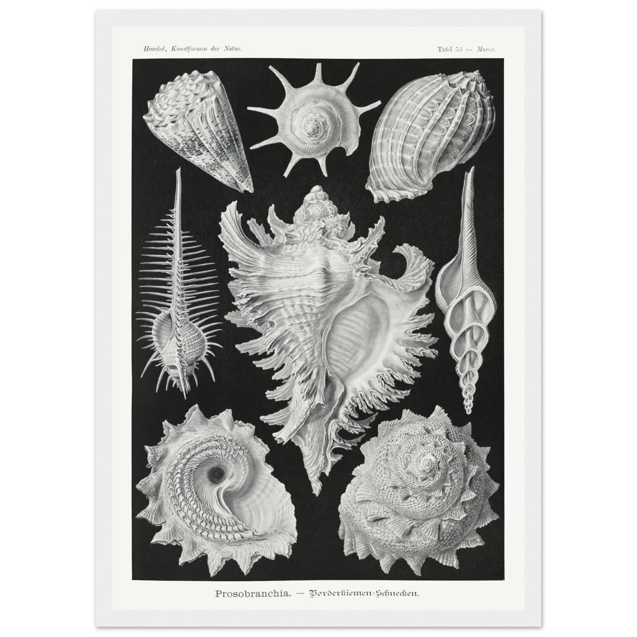 c1535dfe-39d3-47ee-8211-2efa288418be