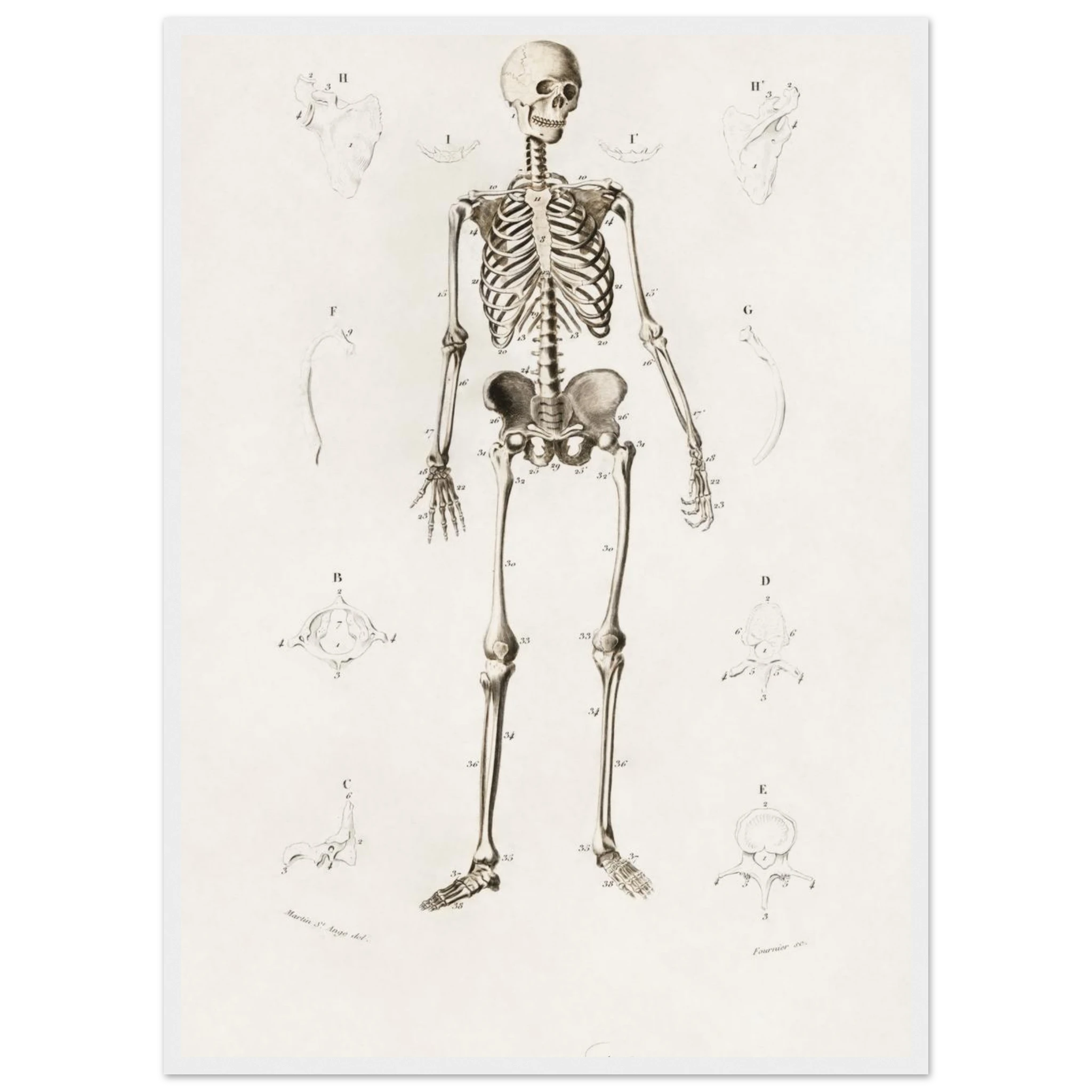 c17e8338-0d00-47f9-a218-cc824aa4b1aa