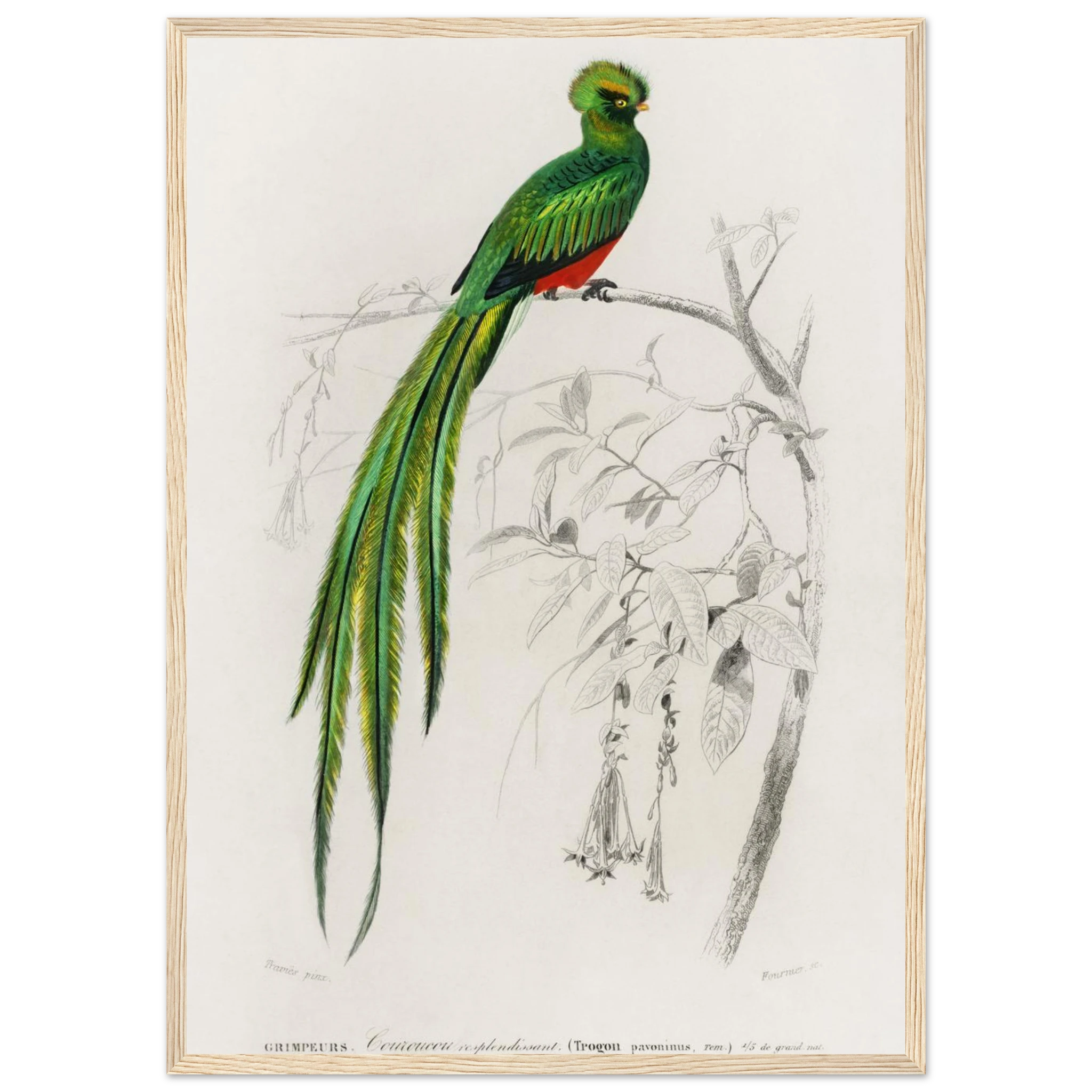 c19debf8-c965-4b8b-b435-0305896b0623