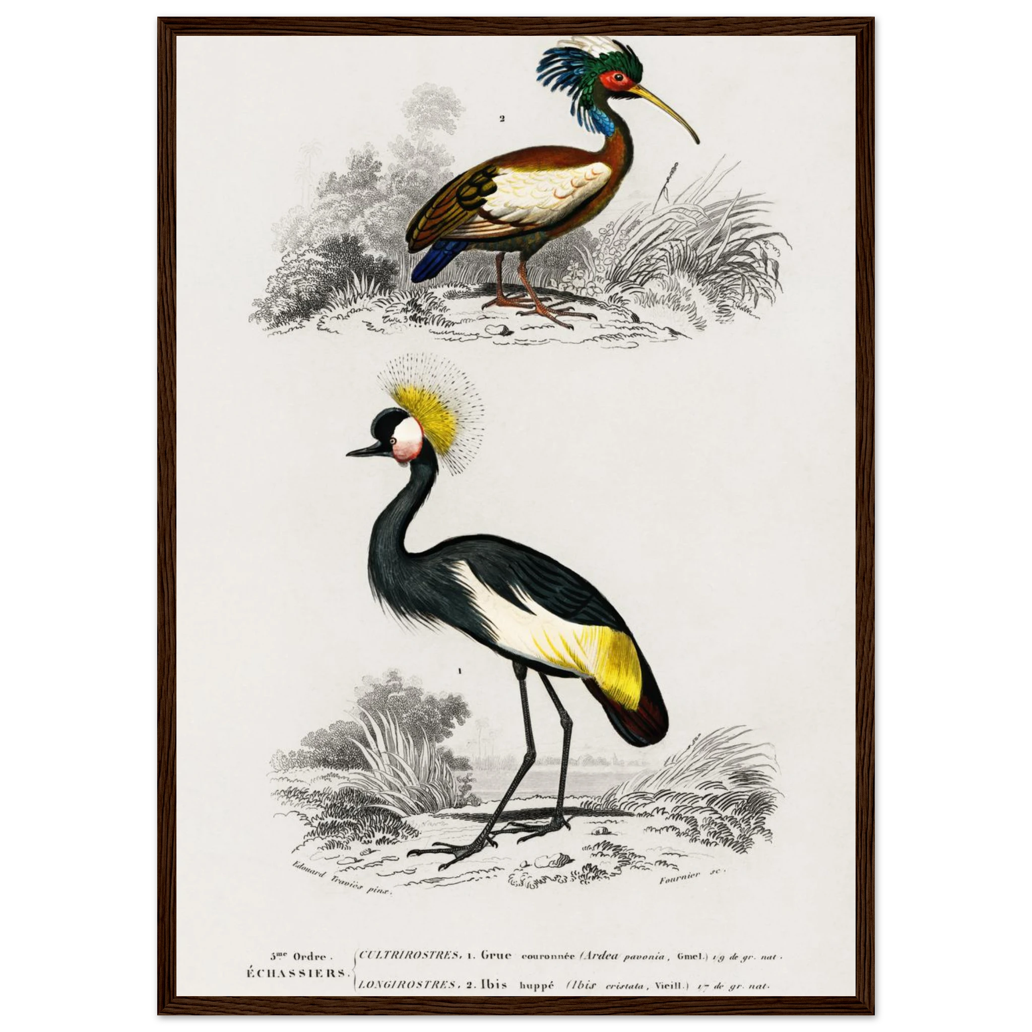 c1cb5218-d38d-49f9-84b4-79b643581d82