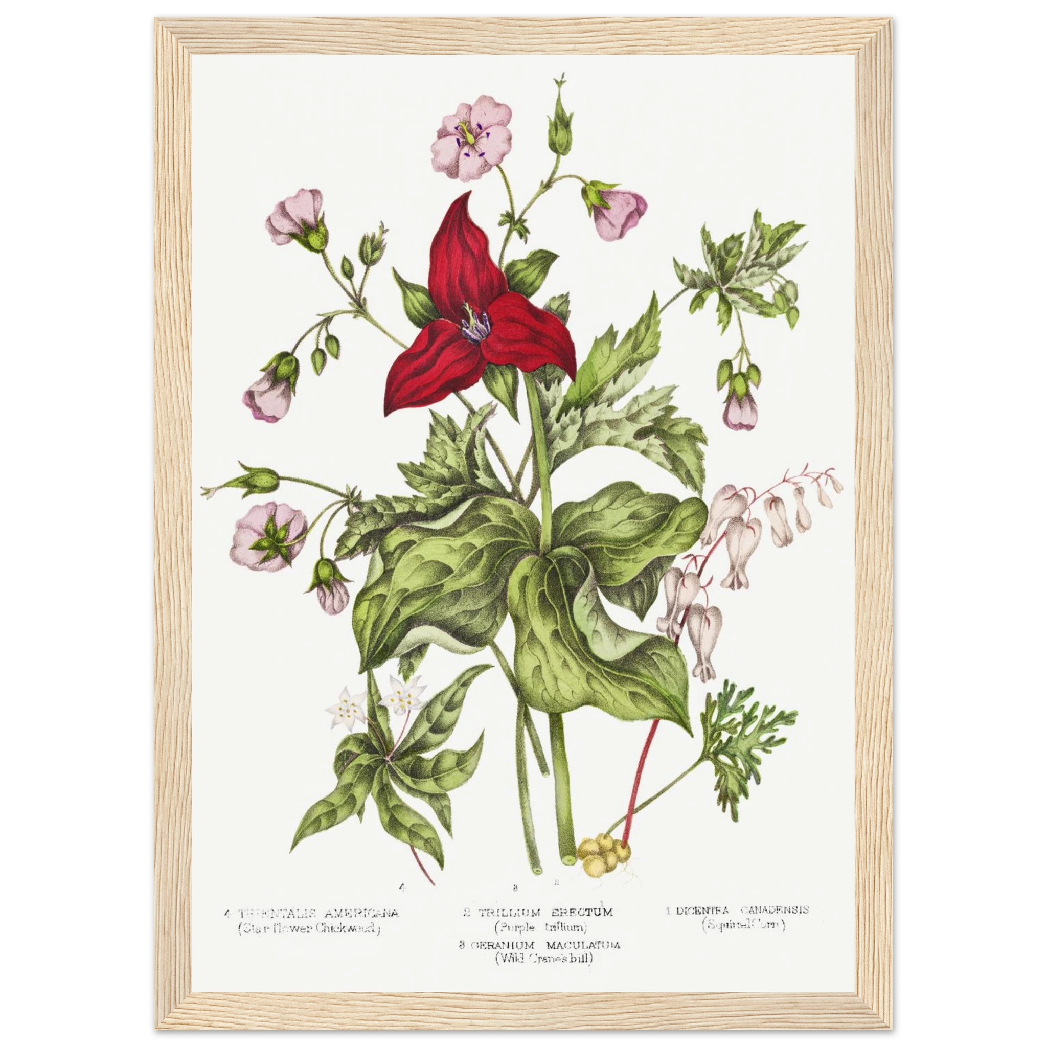 c1cd2a80-2112-4420-aafd-52125b6a944f