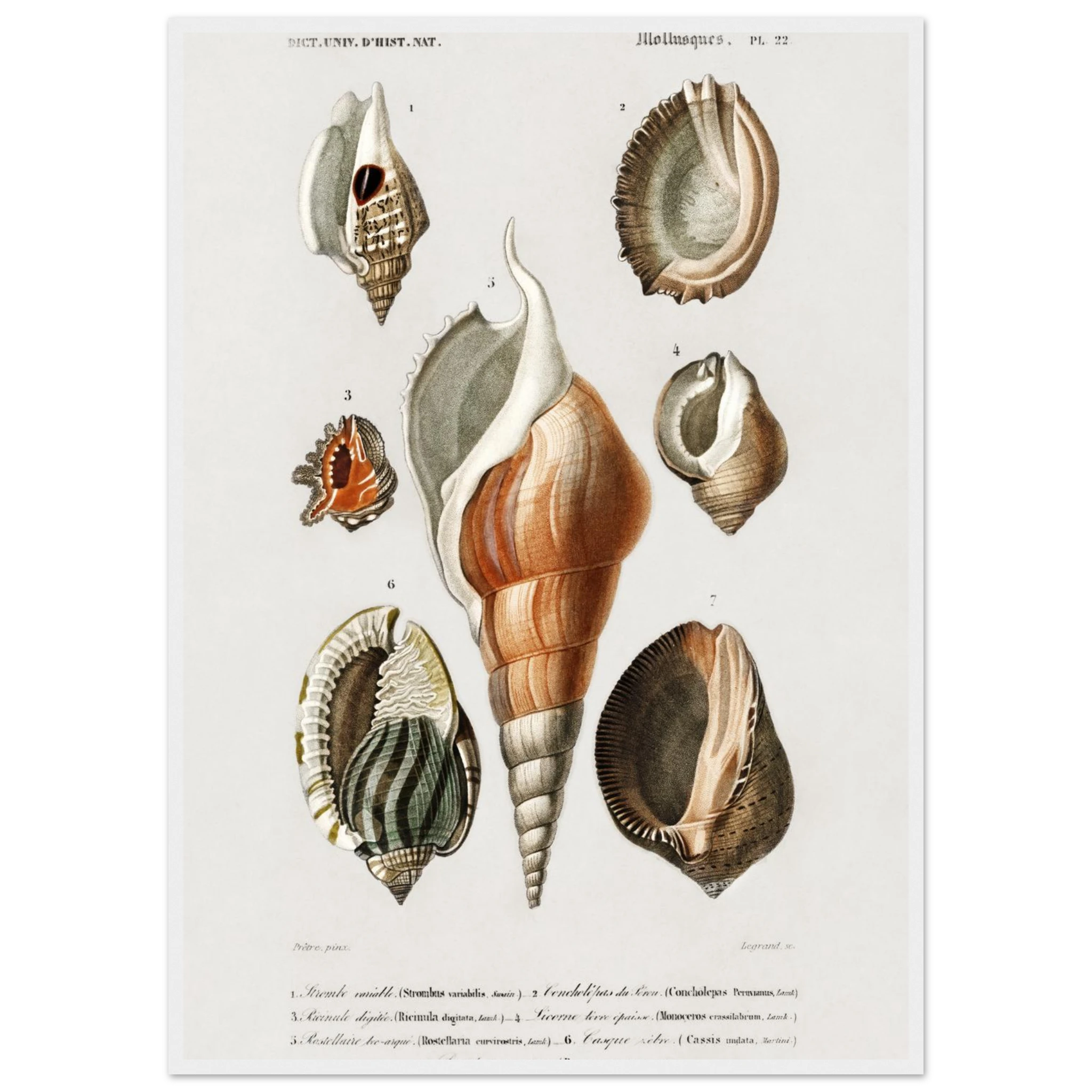 c204bda2-47df-4bb5-98f3-c8894fc56be5