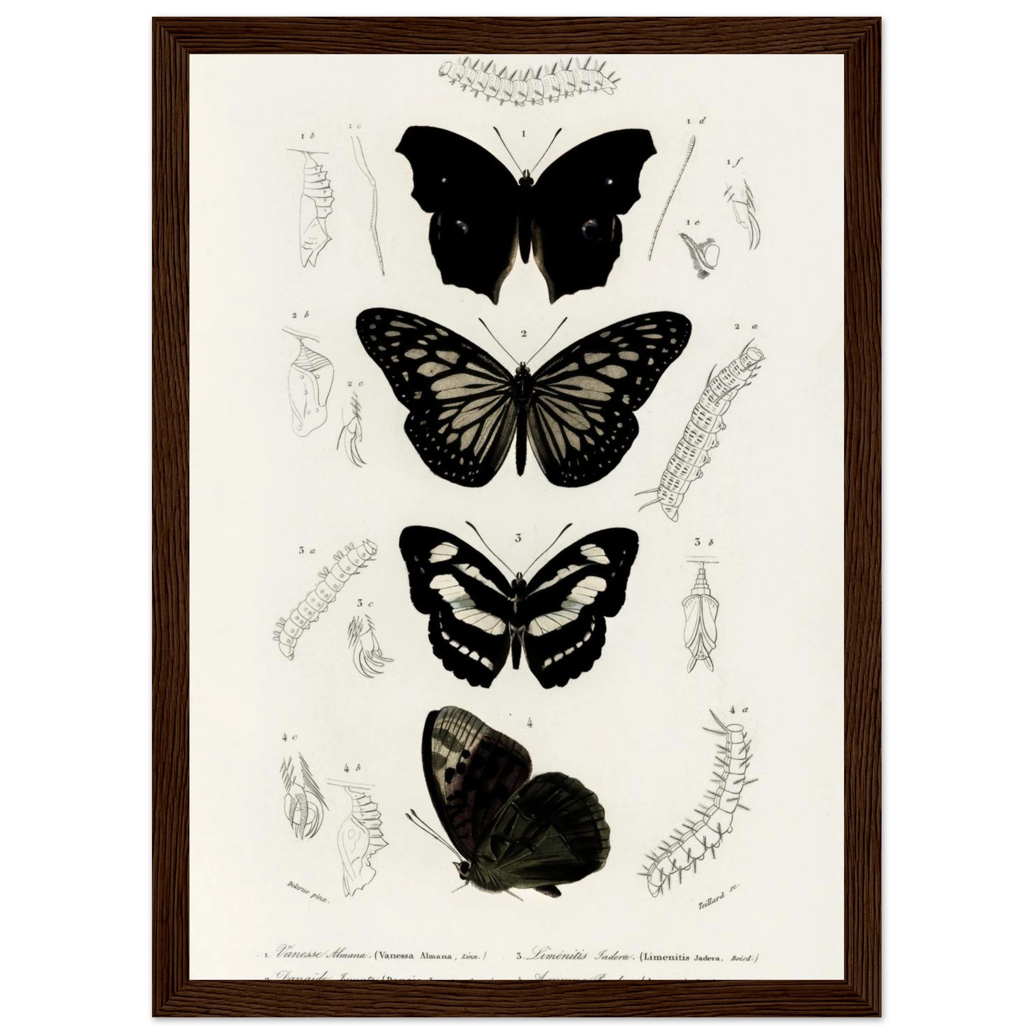 c23eec34-1575-47f9-a575-e38c5030c038