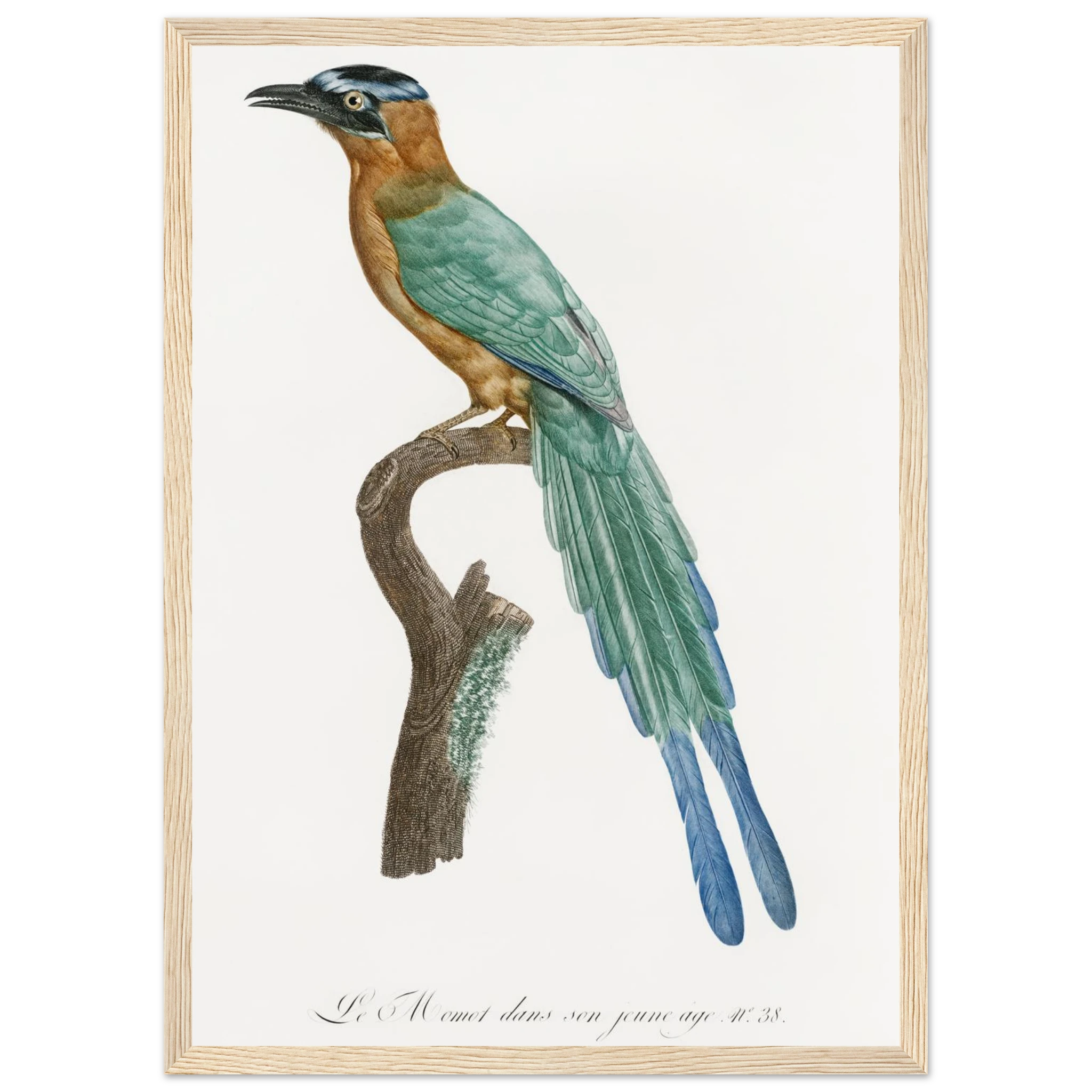 c25f8d24-72f3-4321-be03-11af2224c2e4