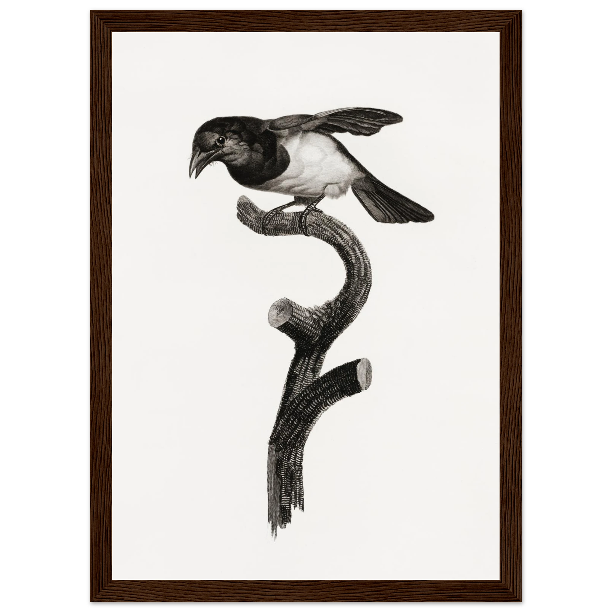 c277d9ef-ad16-4fc3-8cb1-299c409ade23