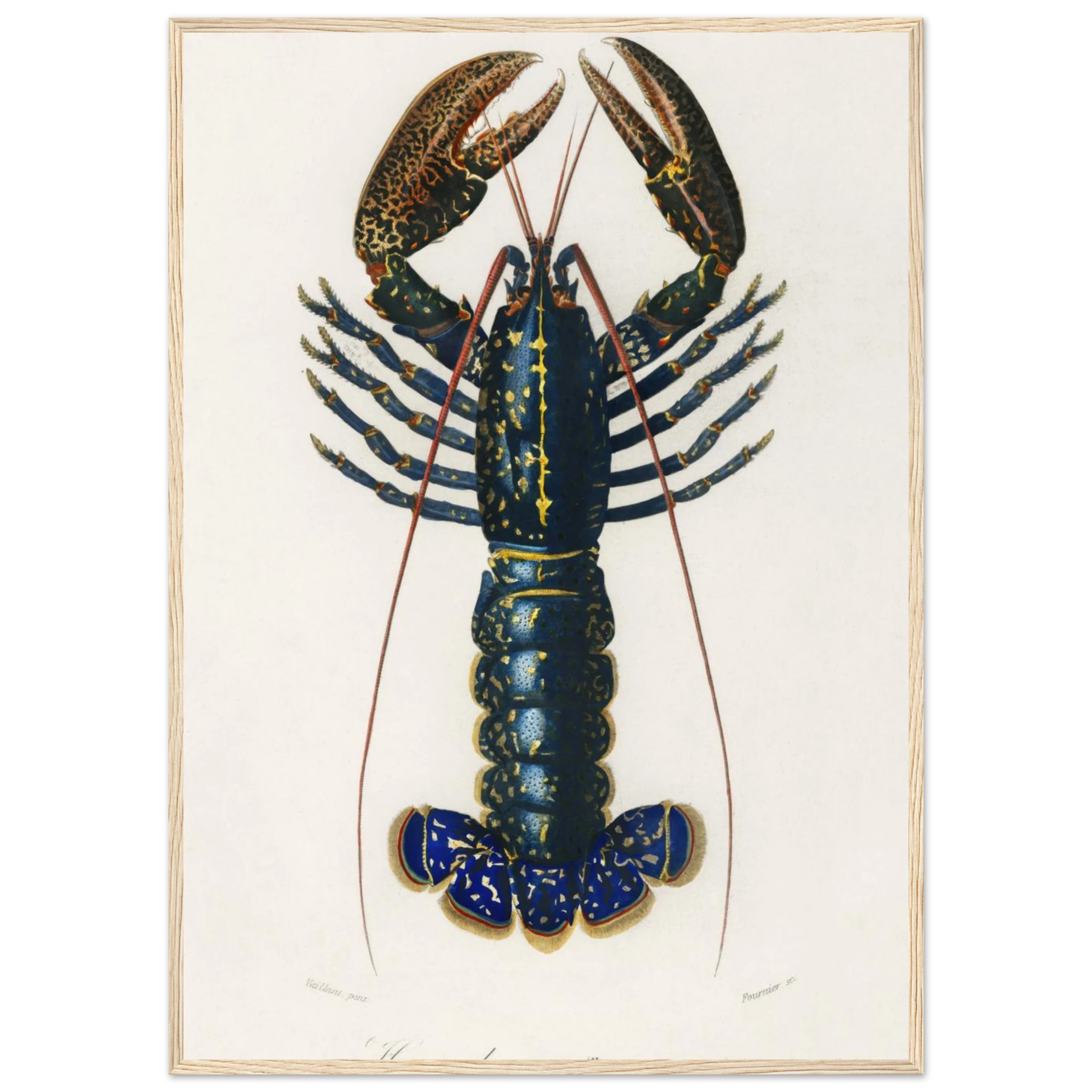 c2b3912a-2623-4684-a445-fa95d8d5e791