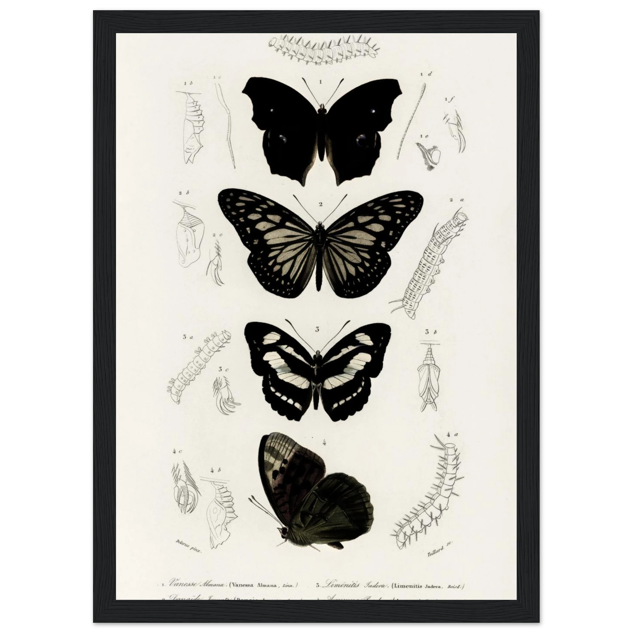 c314e95f-3fa6-41d8-bbc8-3f3005103416