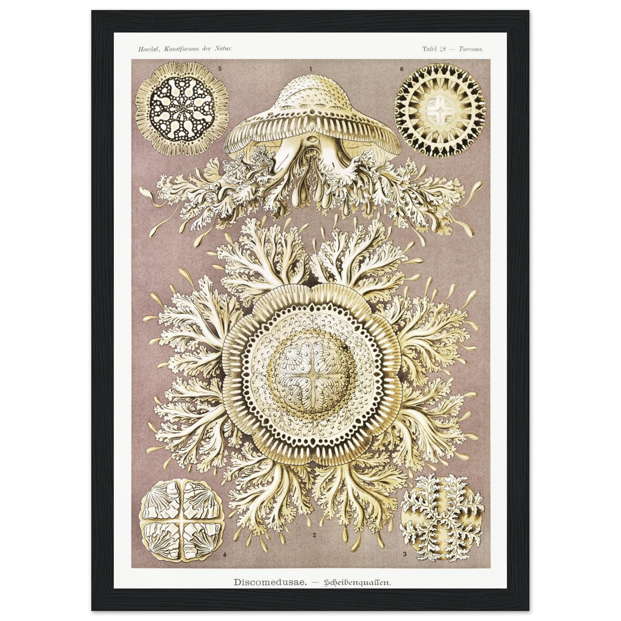 c3333116-6a92-41b0-8442-7c1b7bdd00ff