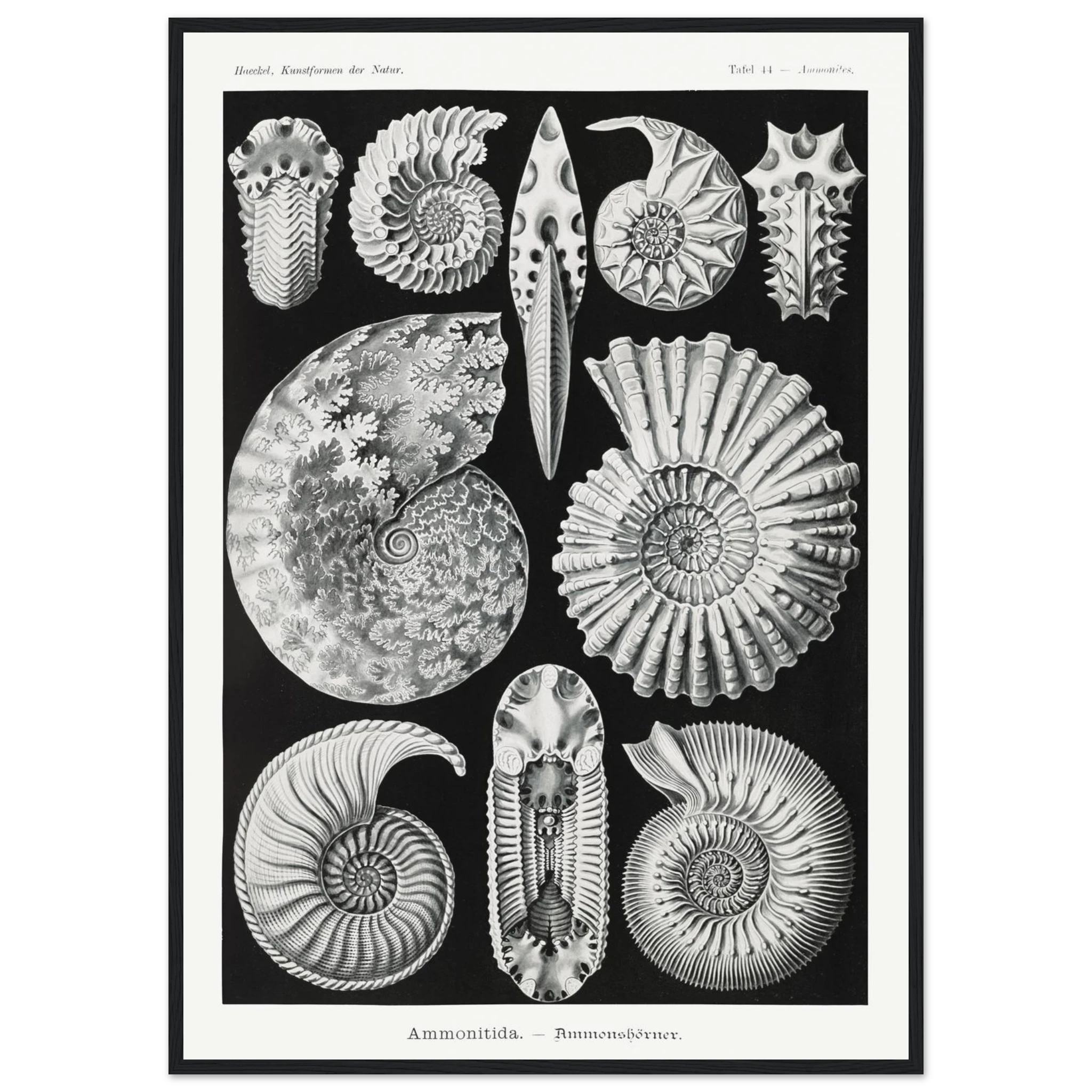 c34e4d5b-3f8e-4ce4-aab3-80fe09b6f866