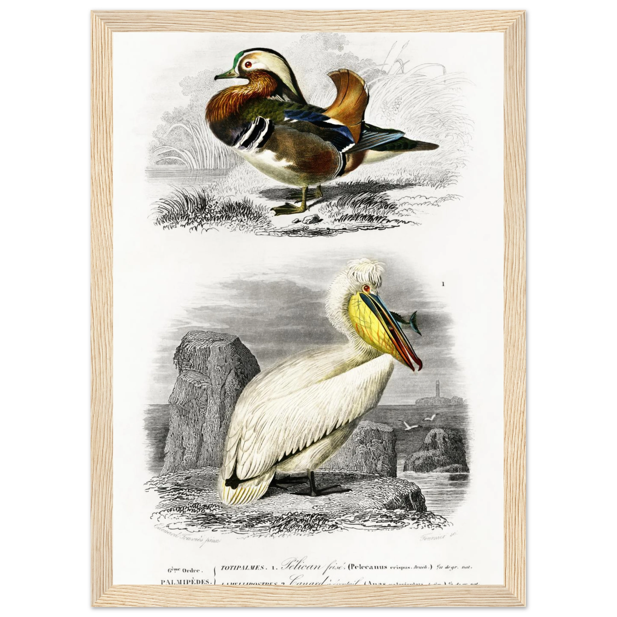 c36da140-6618-431f-9a30-c7ac18dd7256