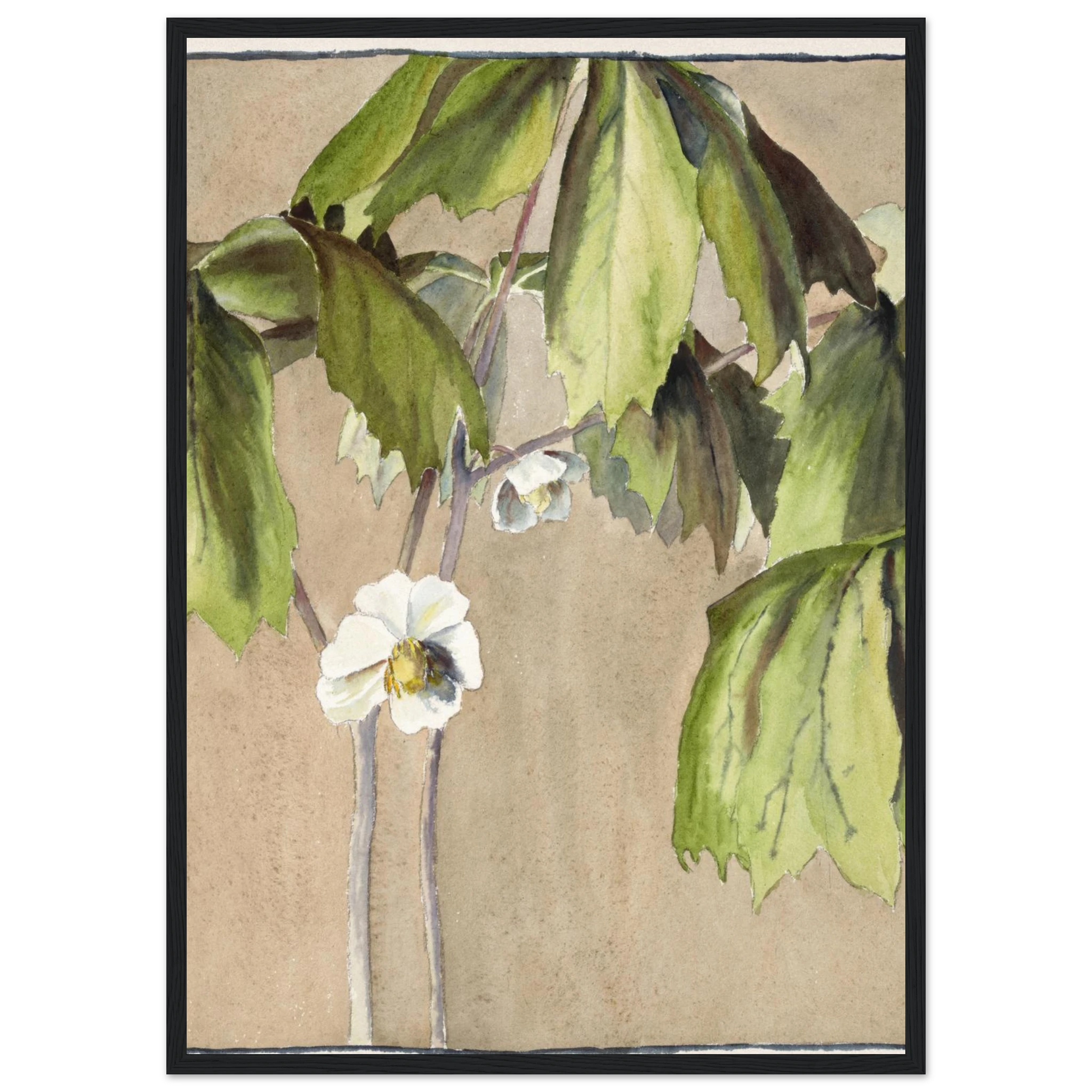 c3d4db0f-2cda-47a6-8dd1-4c430823f372