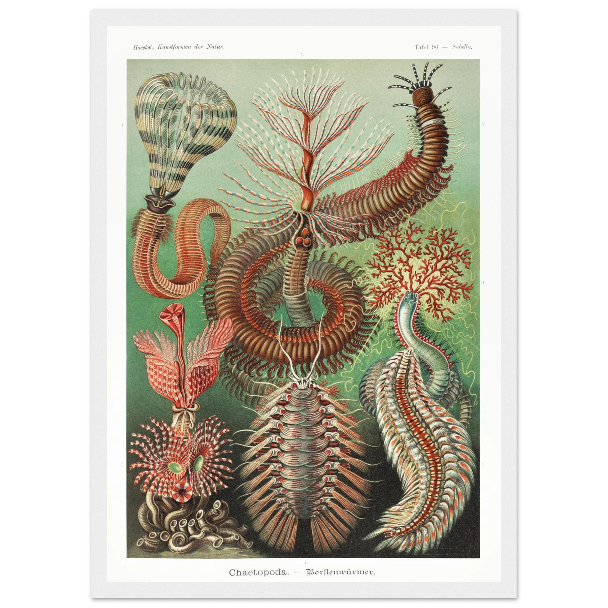 c3d9dc1e-3a08-48a4-8880-16513d3f3597