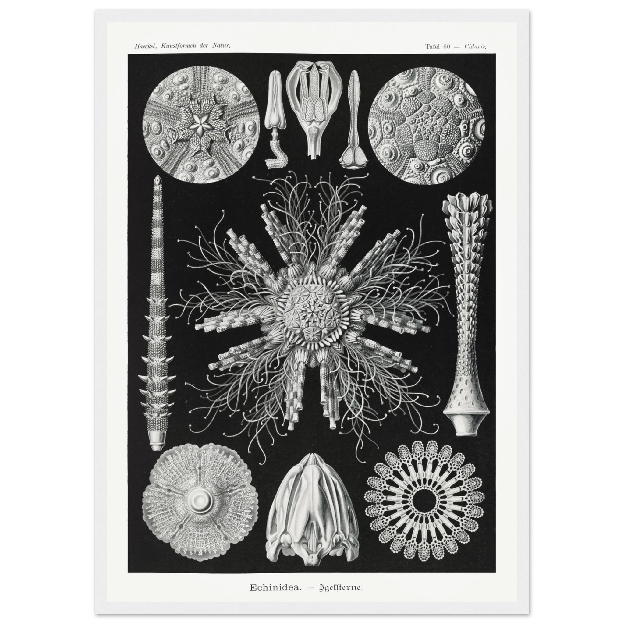 c3f3294b-8466-4389-99d8-6245de2ee295