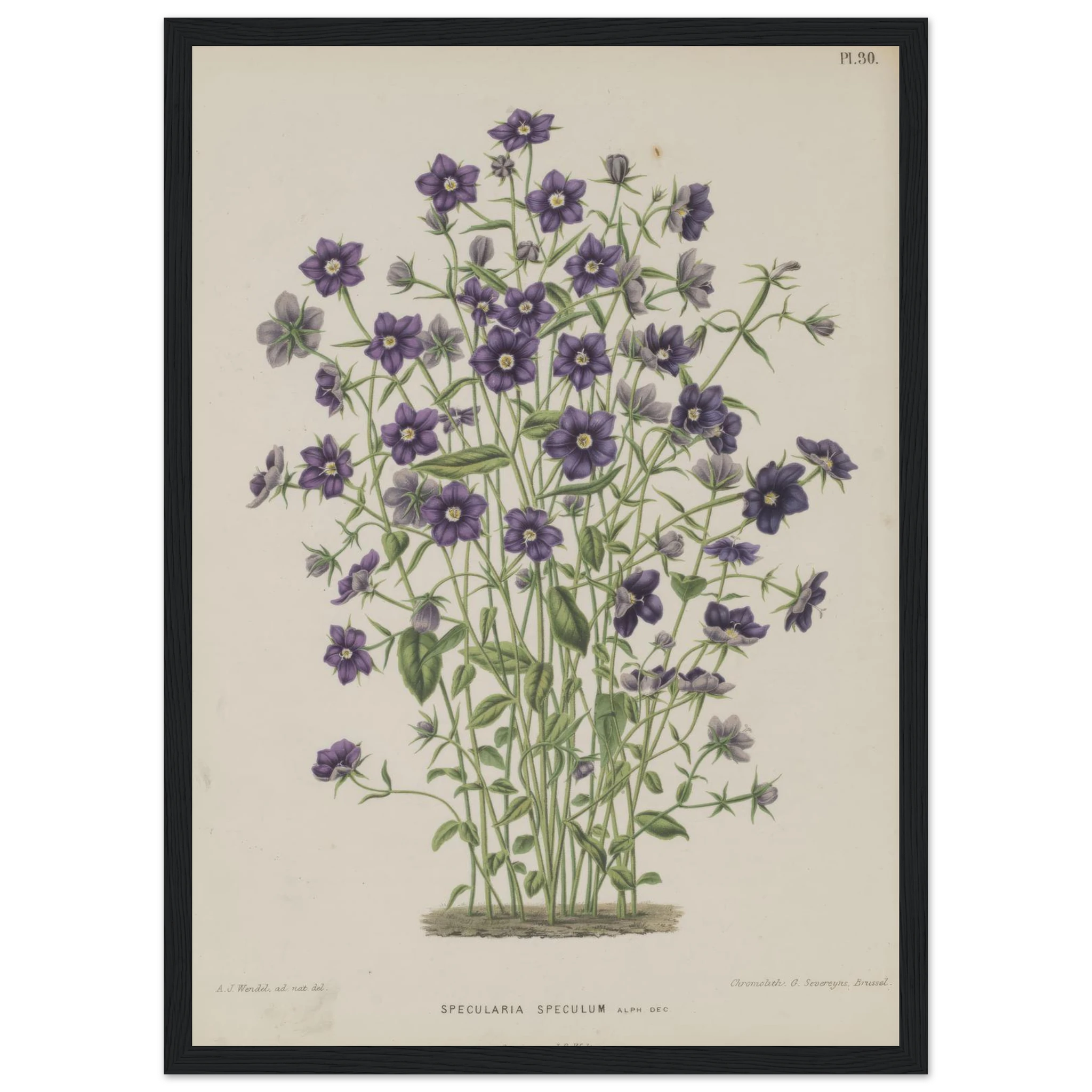 c420b739-b2cc-4215-8123-f01e8167b432