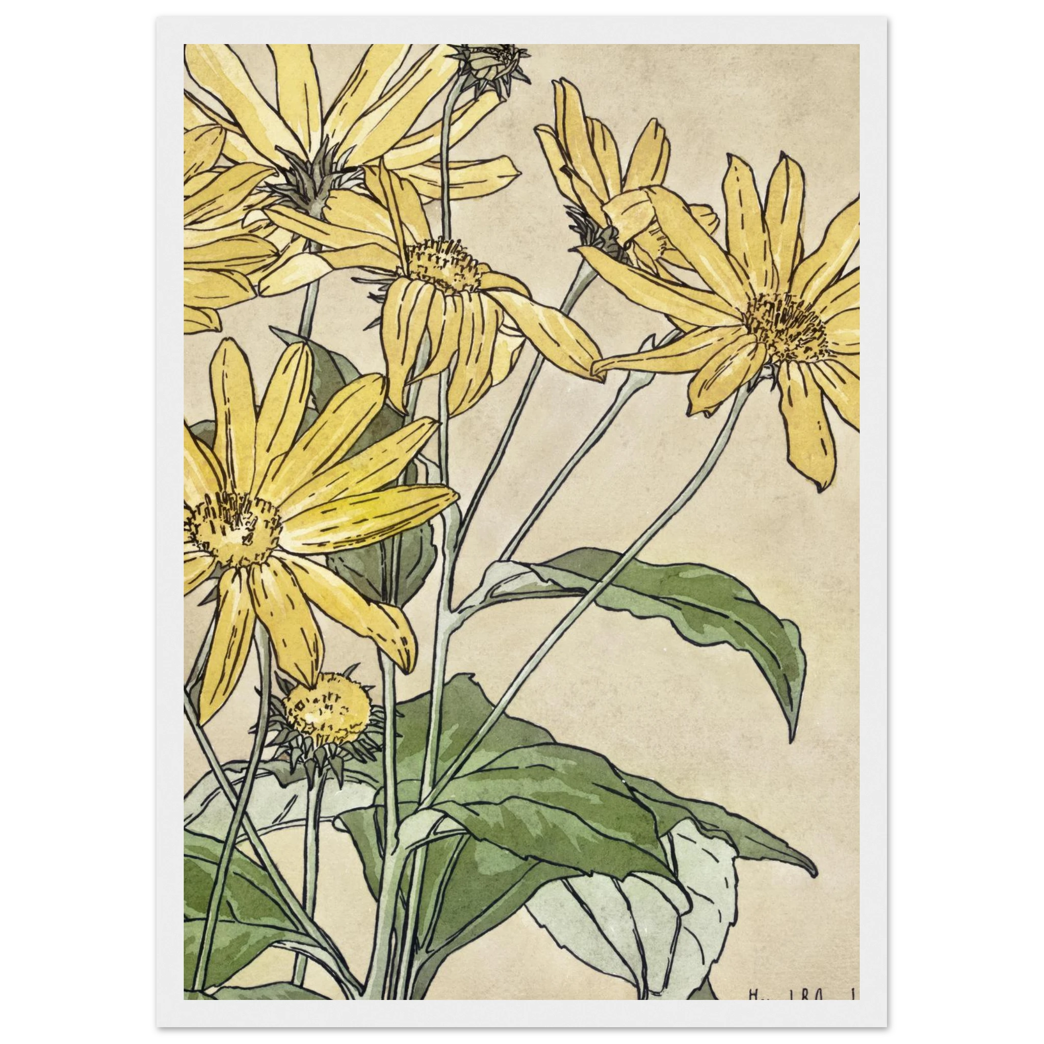 c473666b-1fd5-43f8-be69-f6c88d92a71b