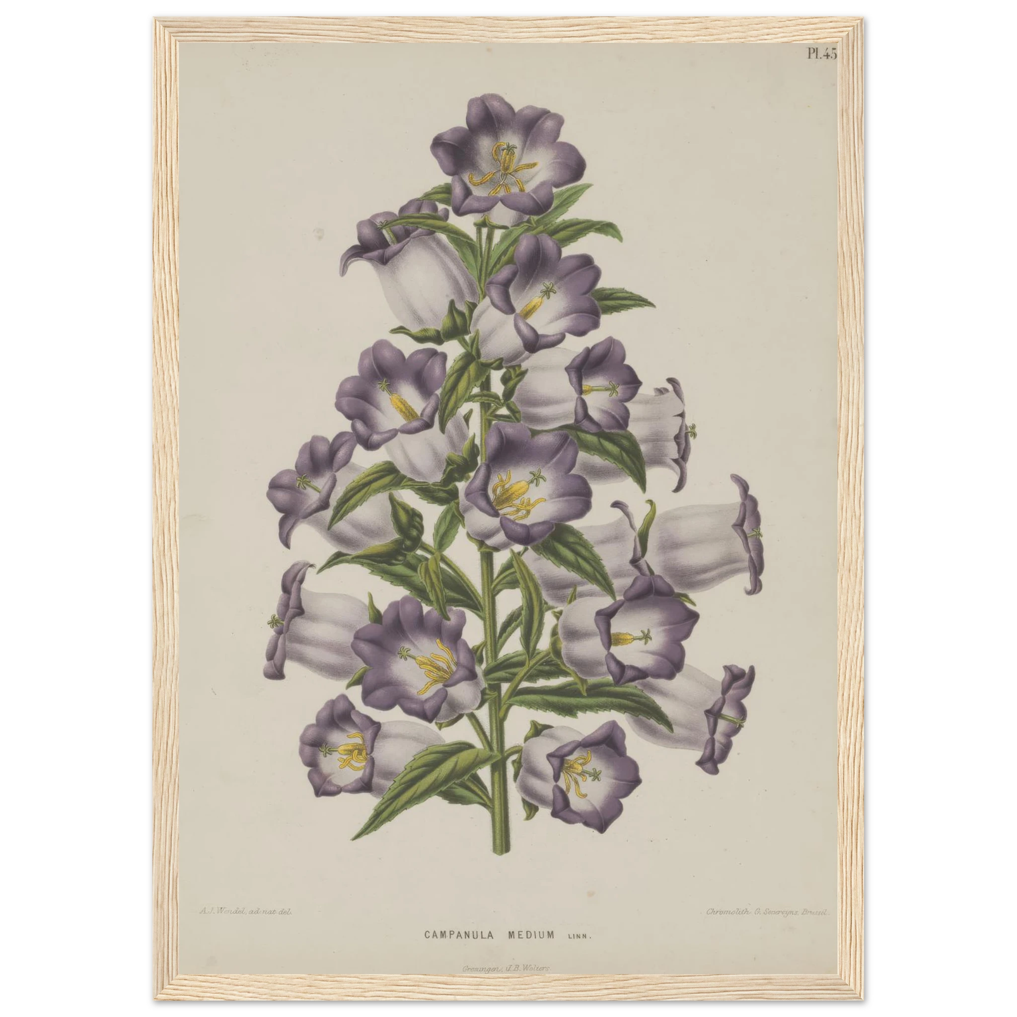 c47c9b5d-9102-4e0a-a230-92f19822a7d2