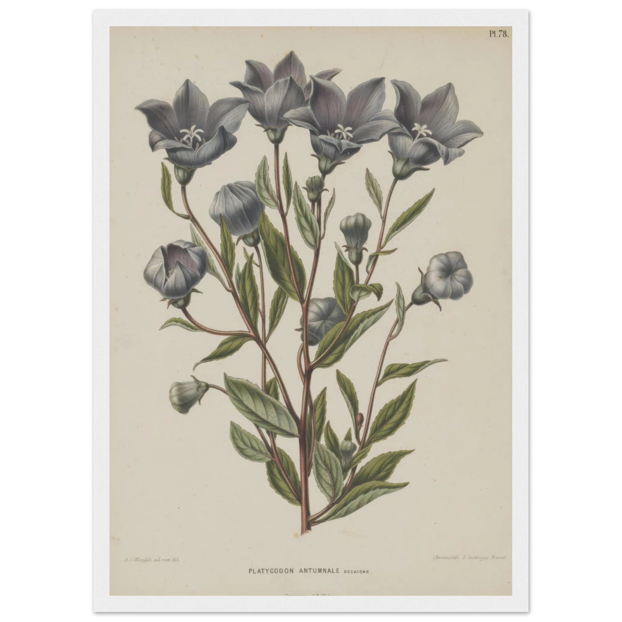 c4a39e2a-9c25-432c-a8b2-57ba05134fc6