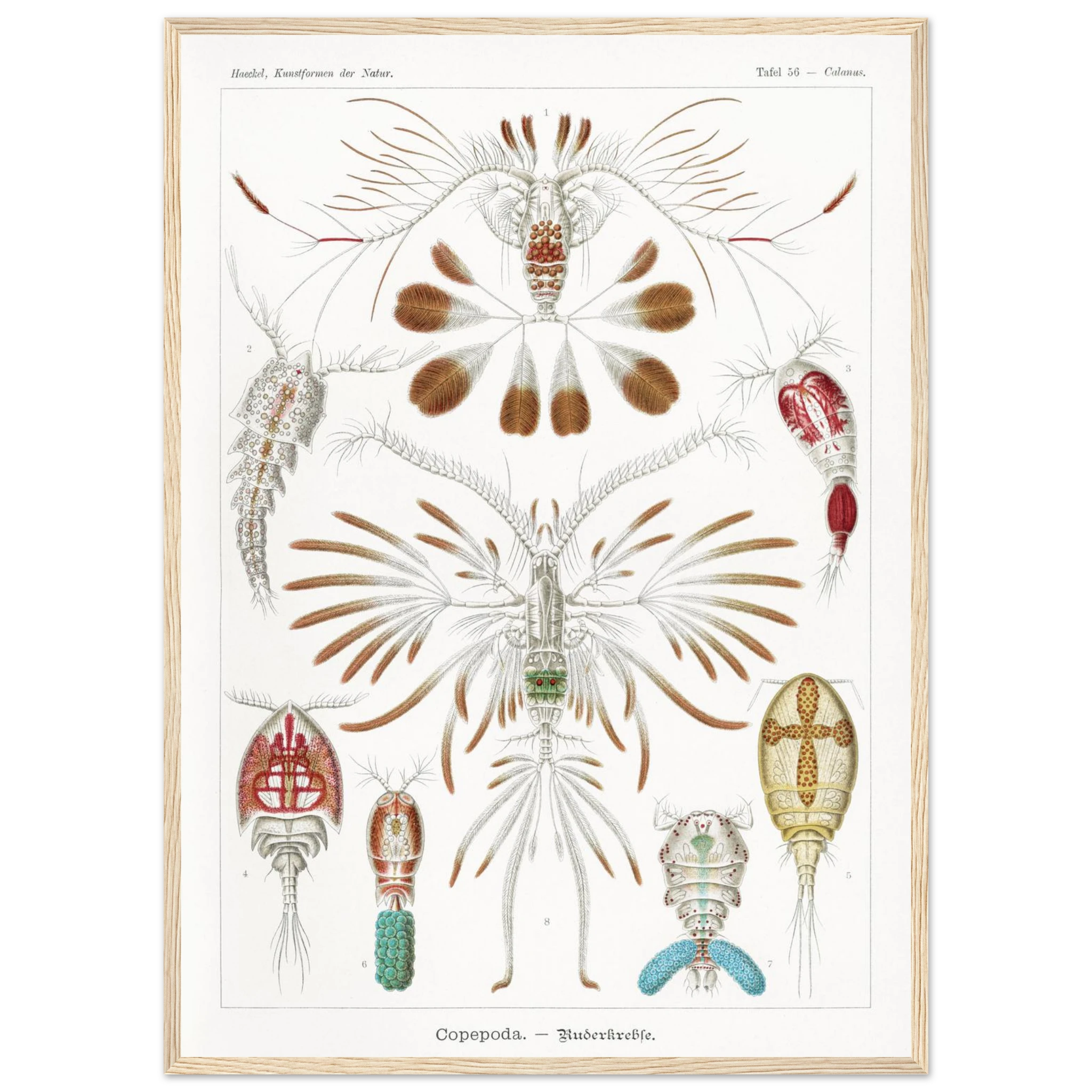 c4b7e103-3284-4238-992c-4dbdb9af8ddb