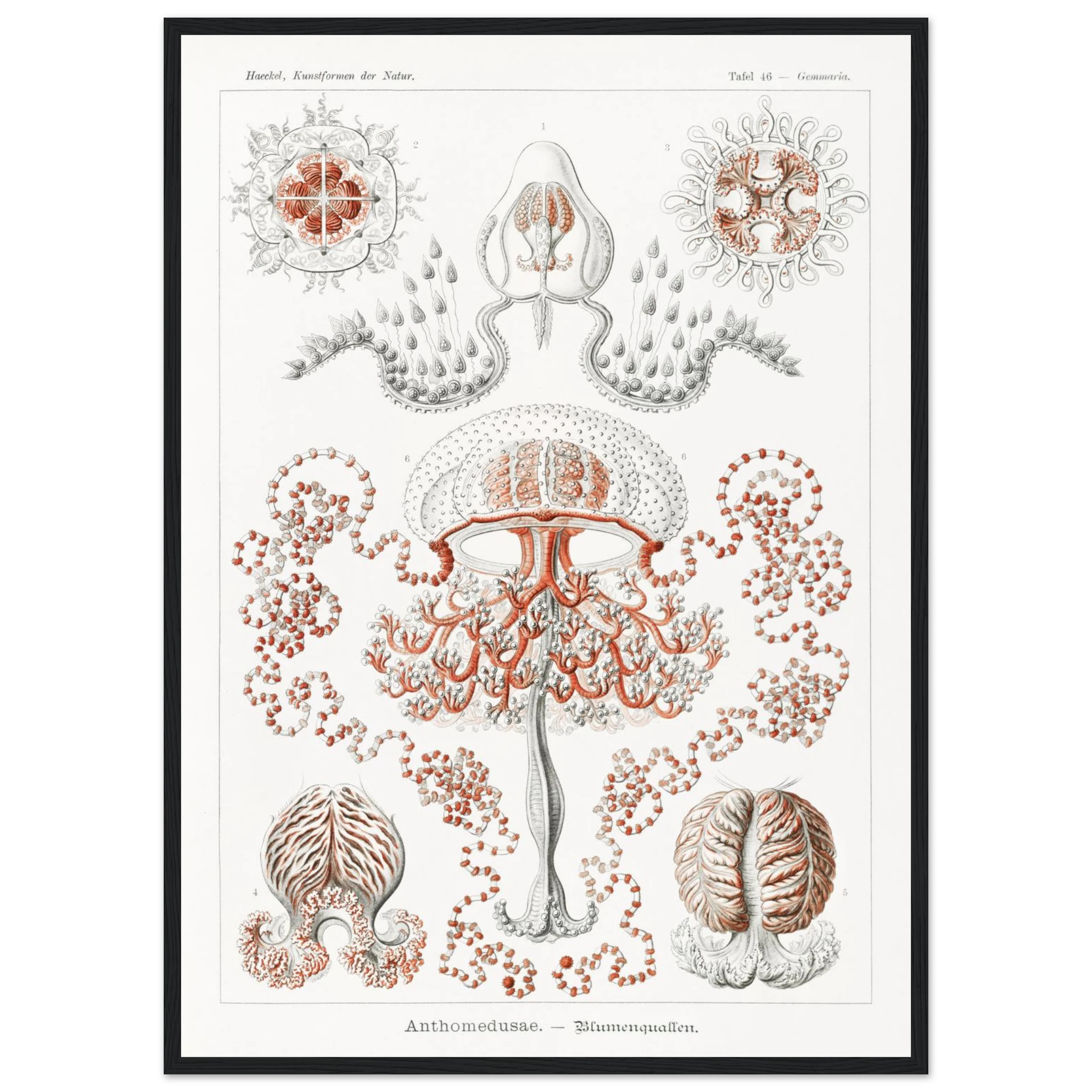 c4bcc1c7-c950-45ce-920a-2305188cce04