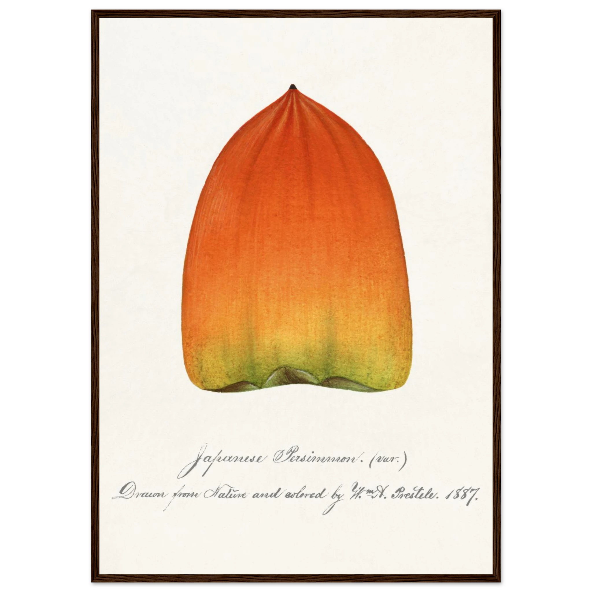 c4bd766e-c451-4ba9-af61-cb4f49eac545