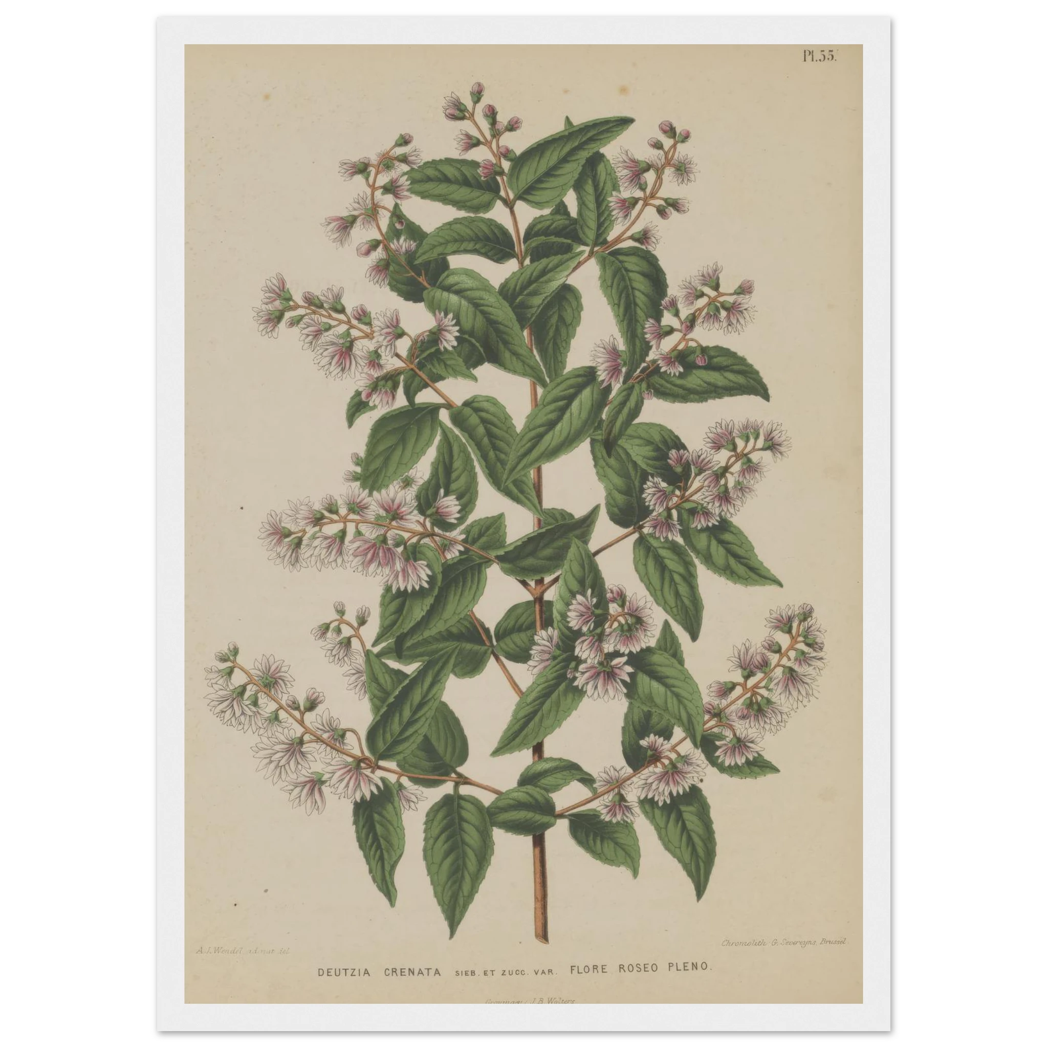 c4f5217a-1ca2-4542-8156-a91133e9c479