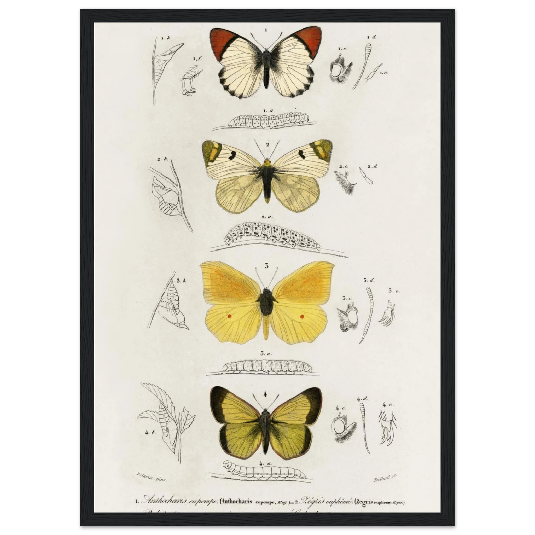 c54d3503-771c-4e6a-9fa7-d2f0f4fda409