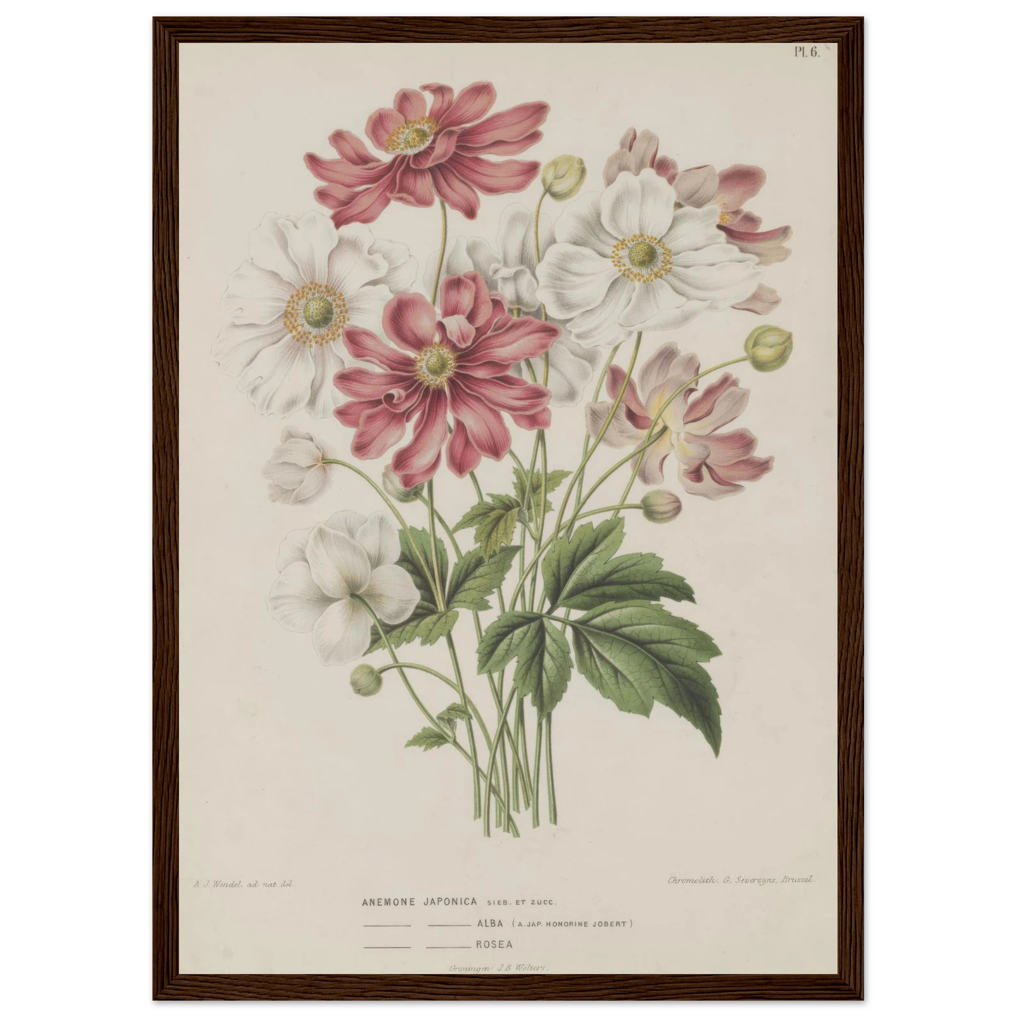 c5ae5d01-7667-4af2-baa7-89639c1fe1eb