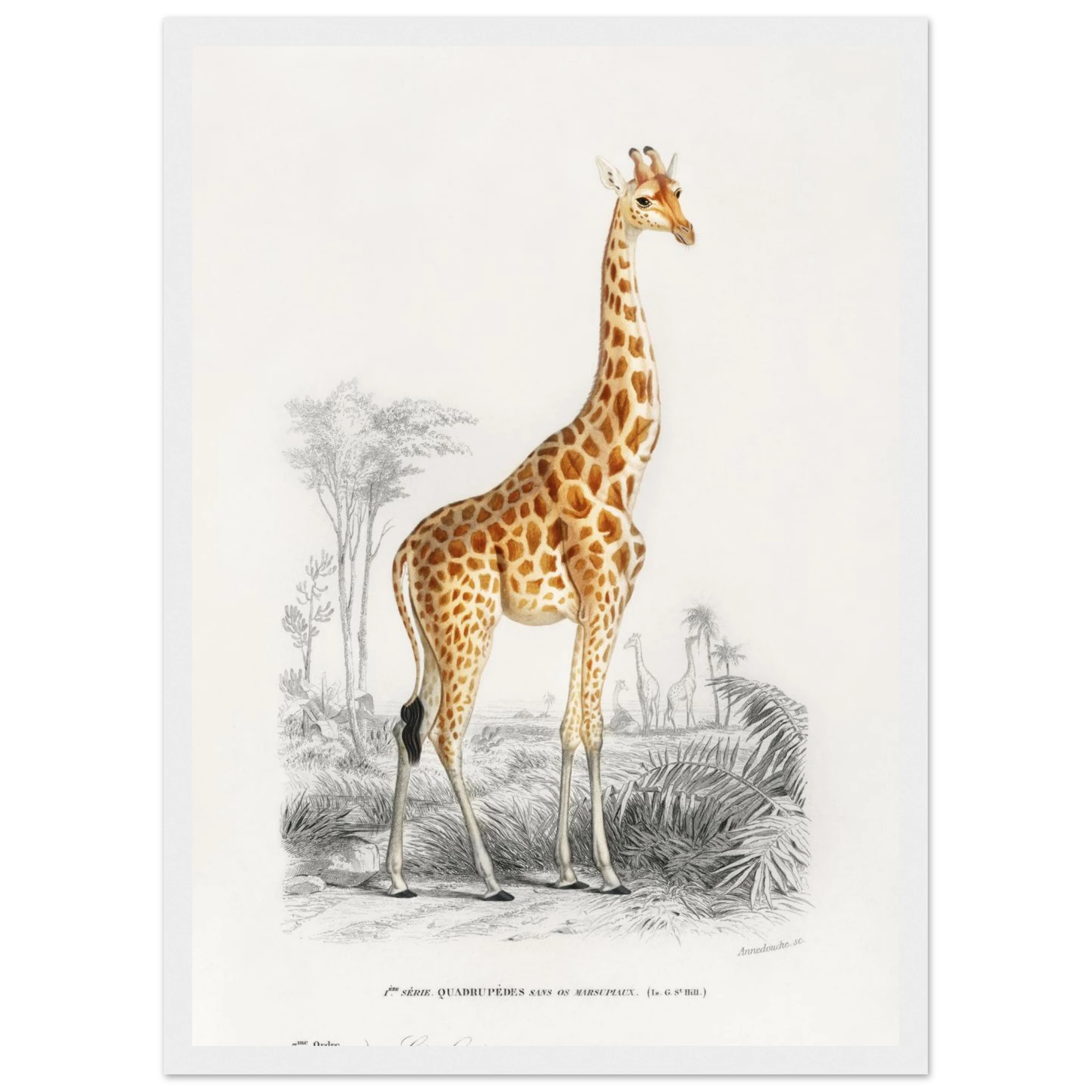 c5b03039-2f83-47de-8361-3c5ea21376f8