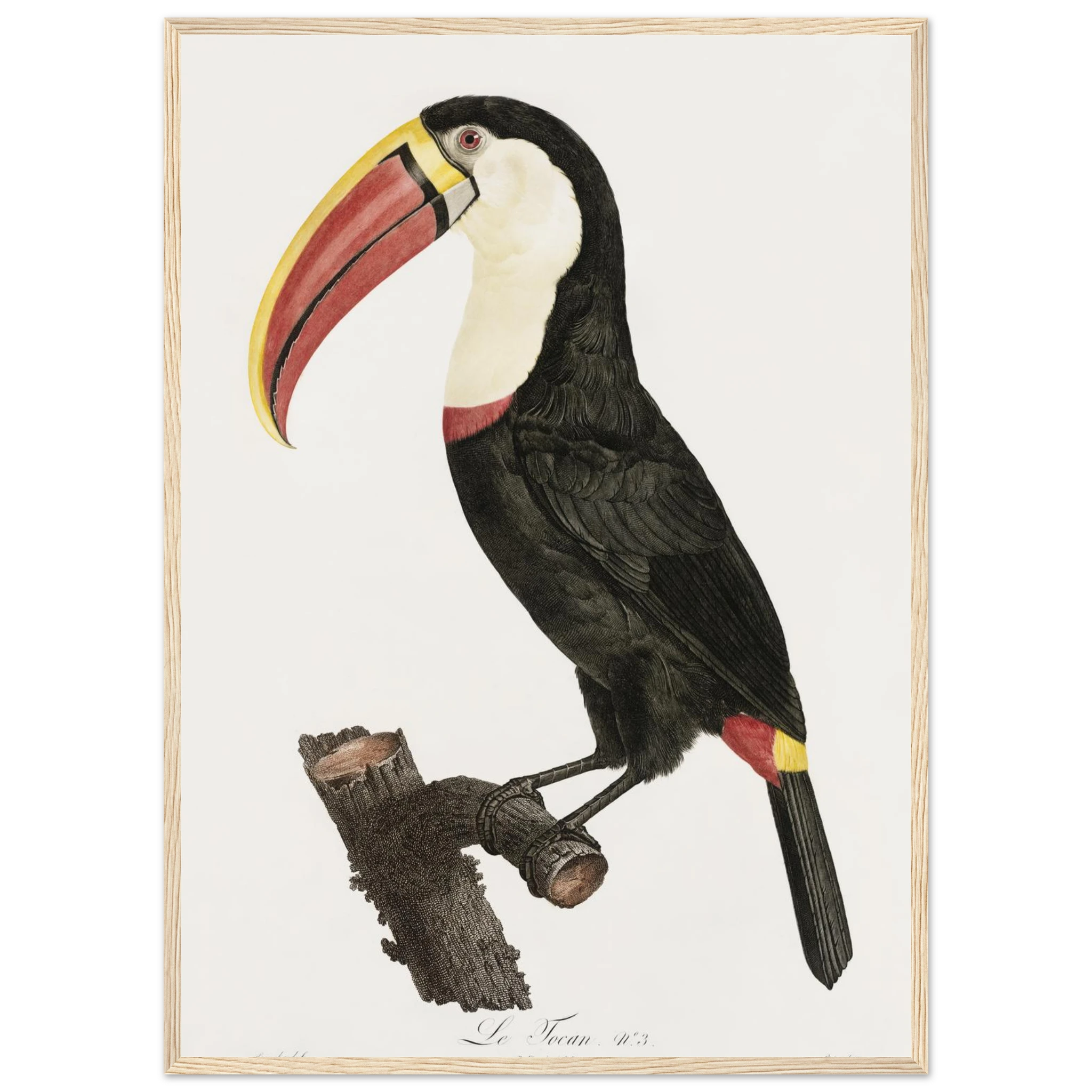 c5c86e28-e497-4f6e-a036-87a8a98e438a