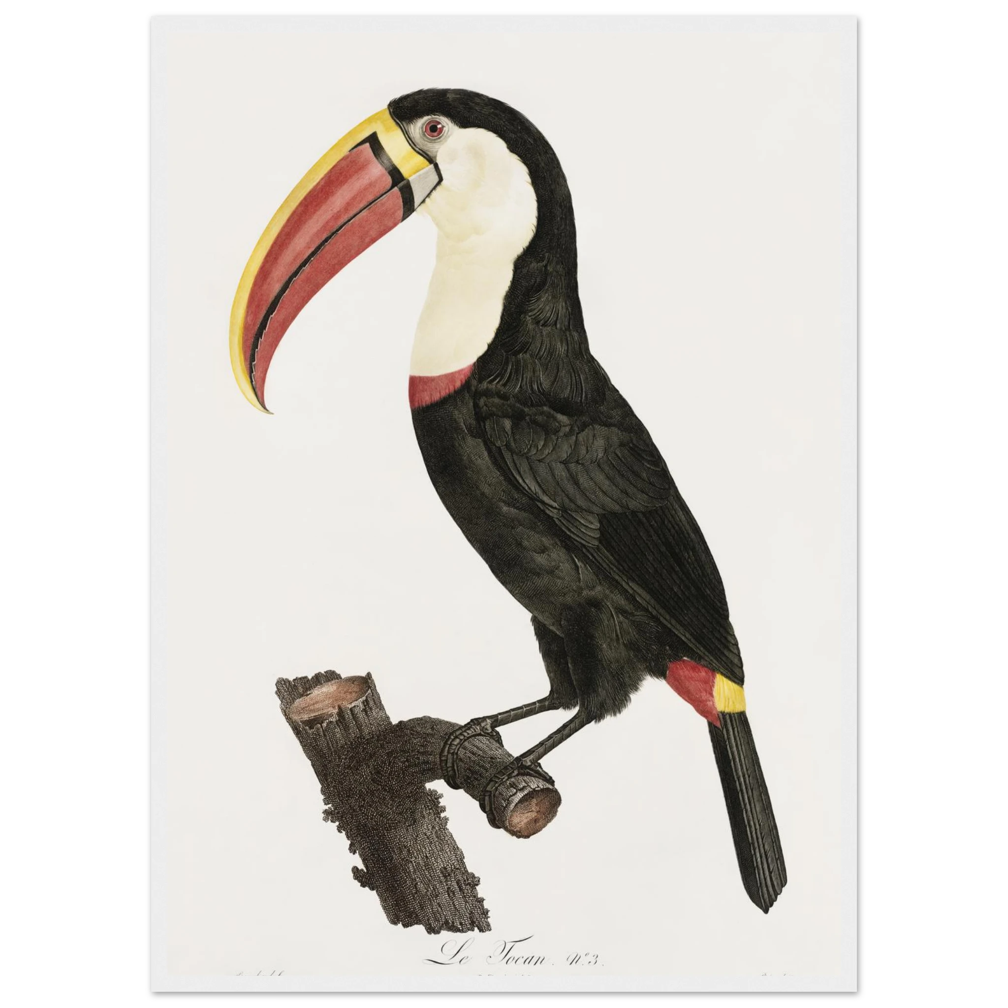 c5de62be-0e5e-4a1d-b7cd-75d6e3ad43a5