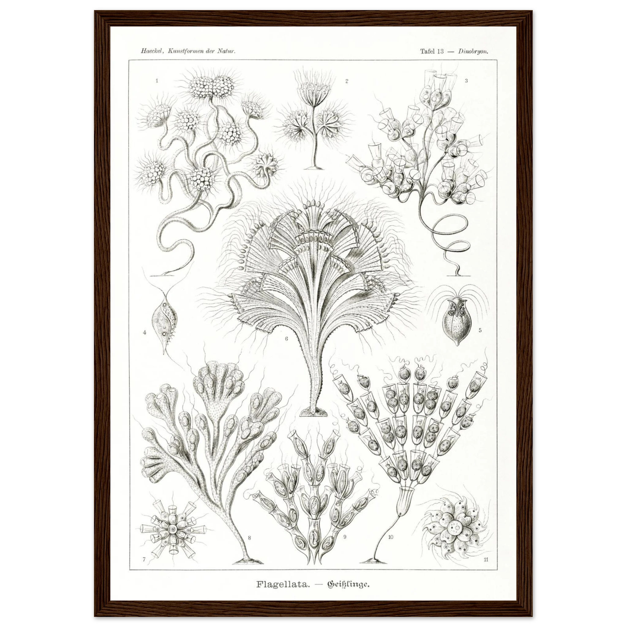 c60990c0-5b93-4e41-8b1e-c4c881bb31d5